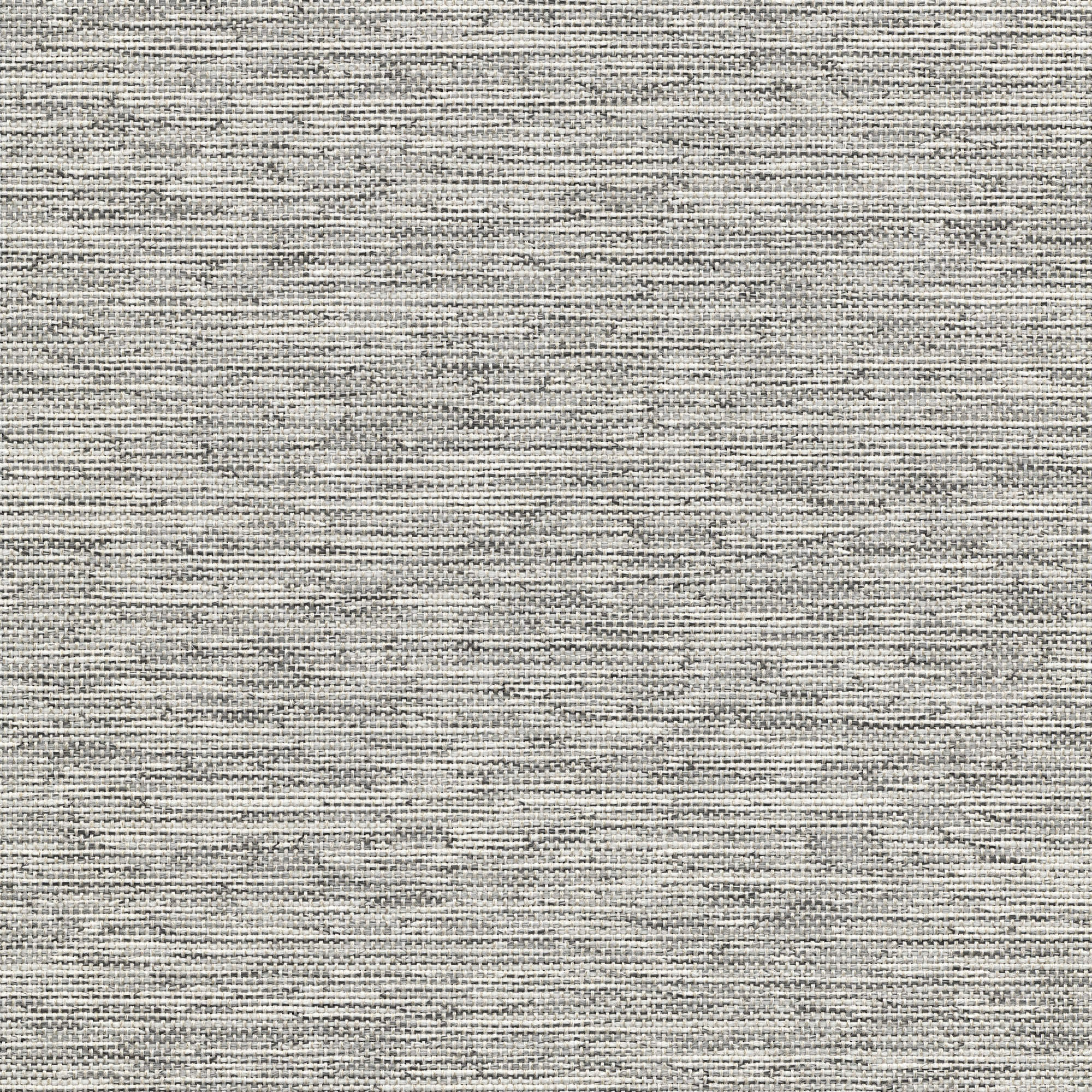 53243 BERBER (CORSAIR)