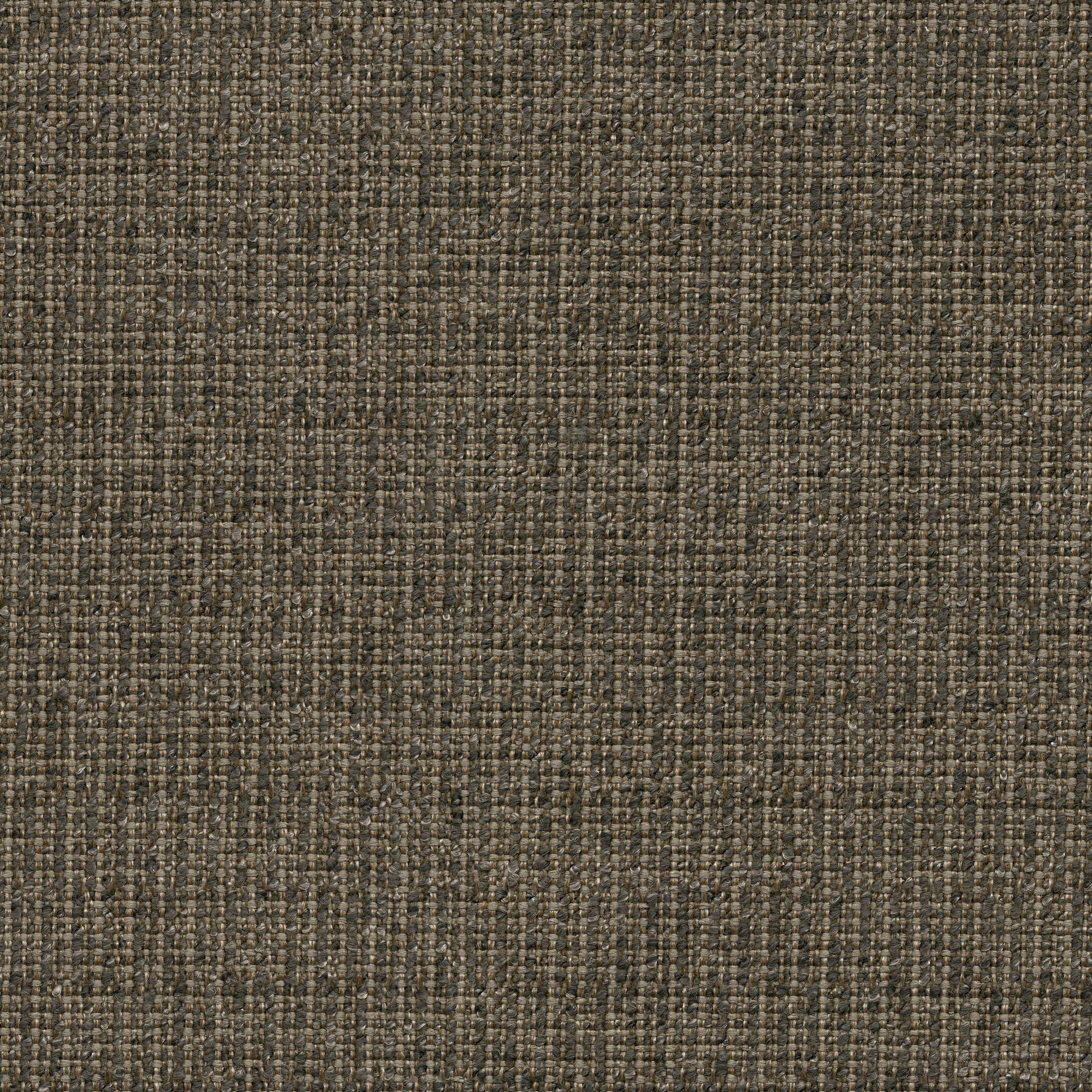 53245 METAL (ZEST)