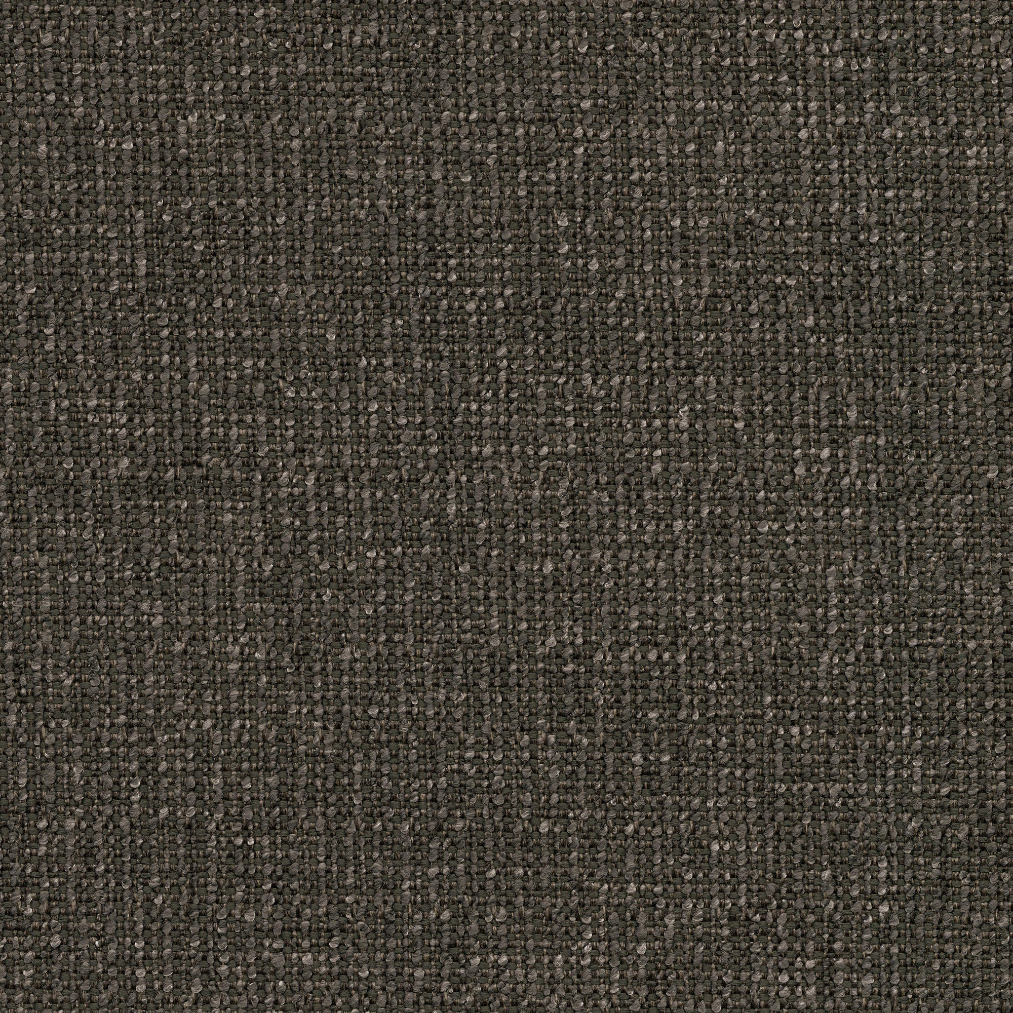 53247 MIDNIGHT (ZEST)
