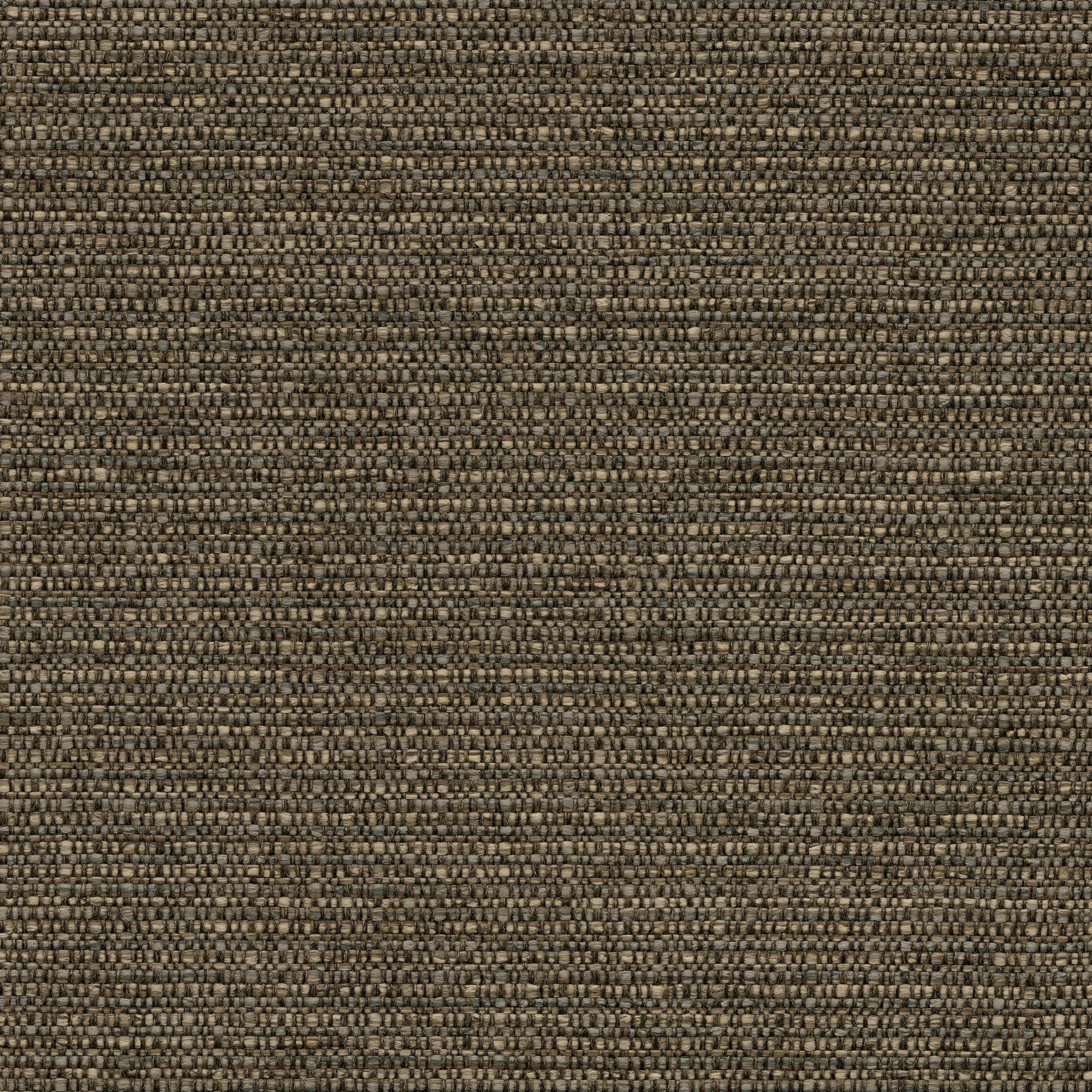 53248 CHARCOAL (COLTON)