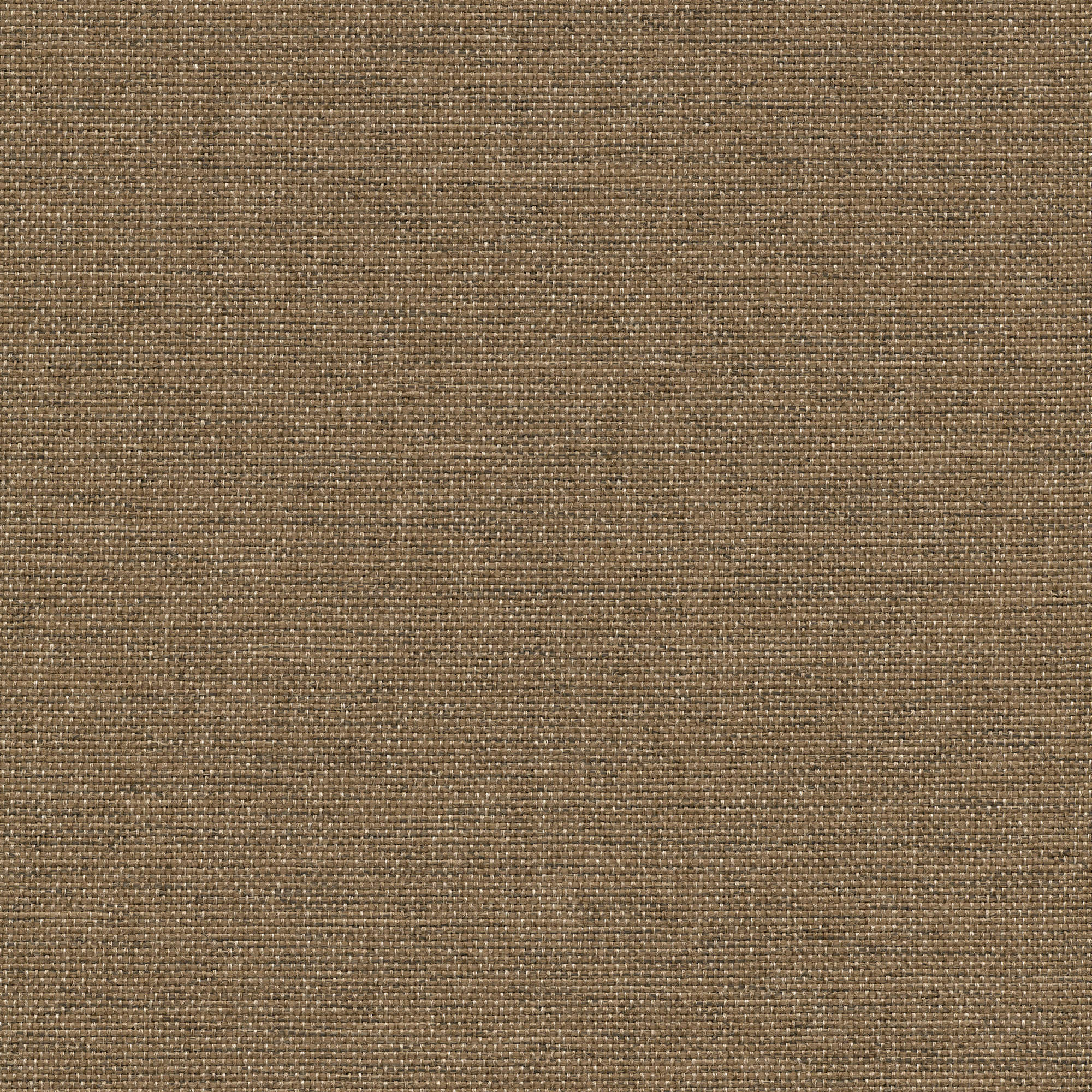 53249 MALT (CORSAIR)