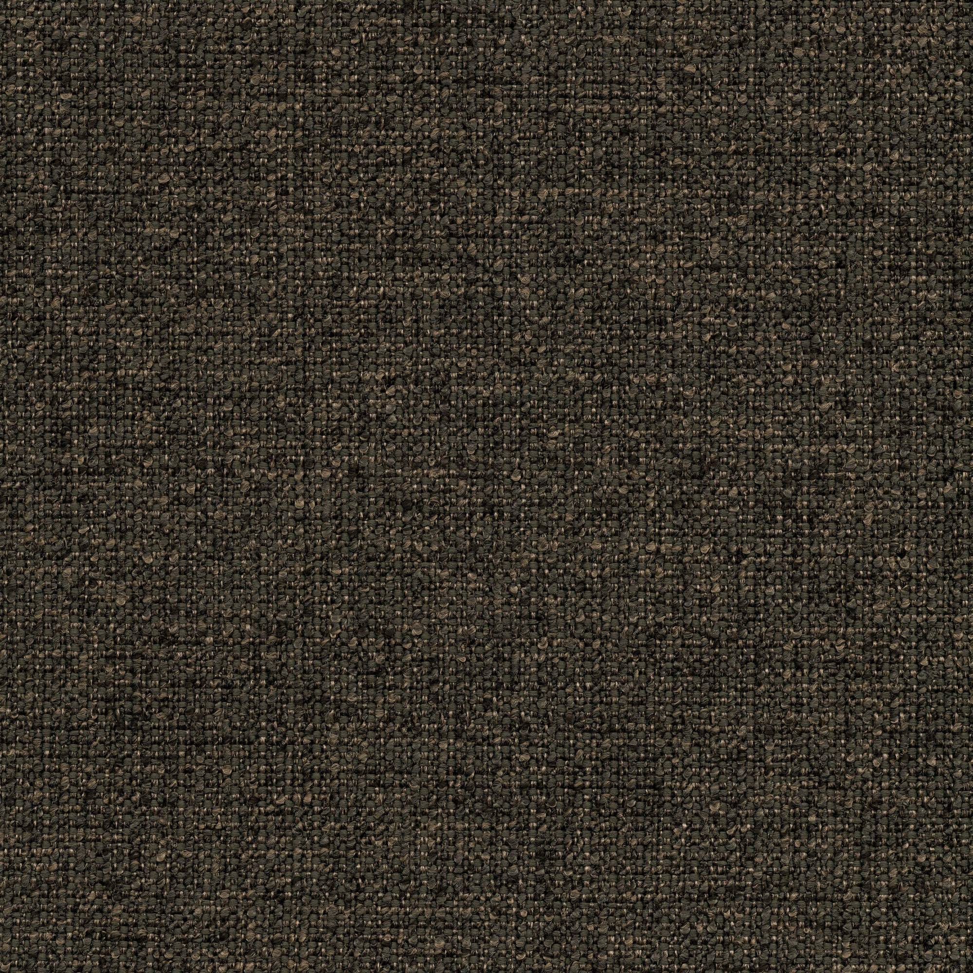 53253 EBONY (ZEST)