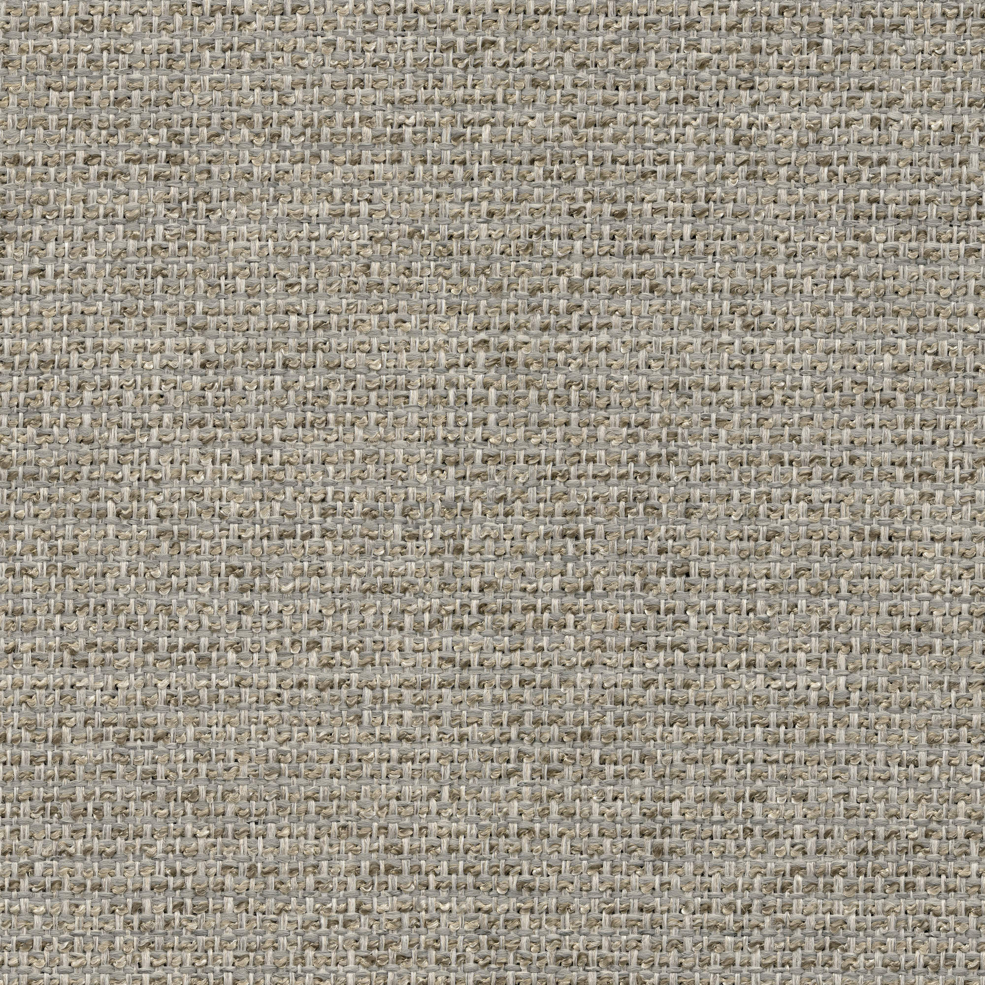 53304 FOG (CHORUS)