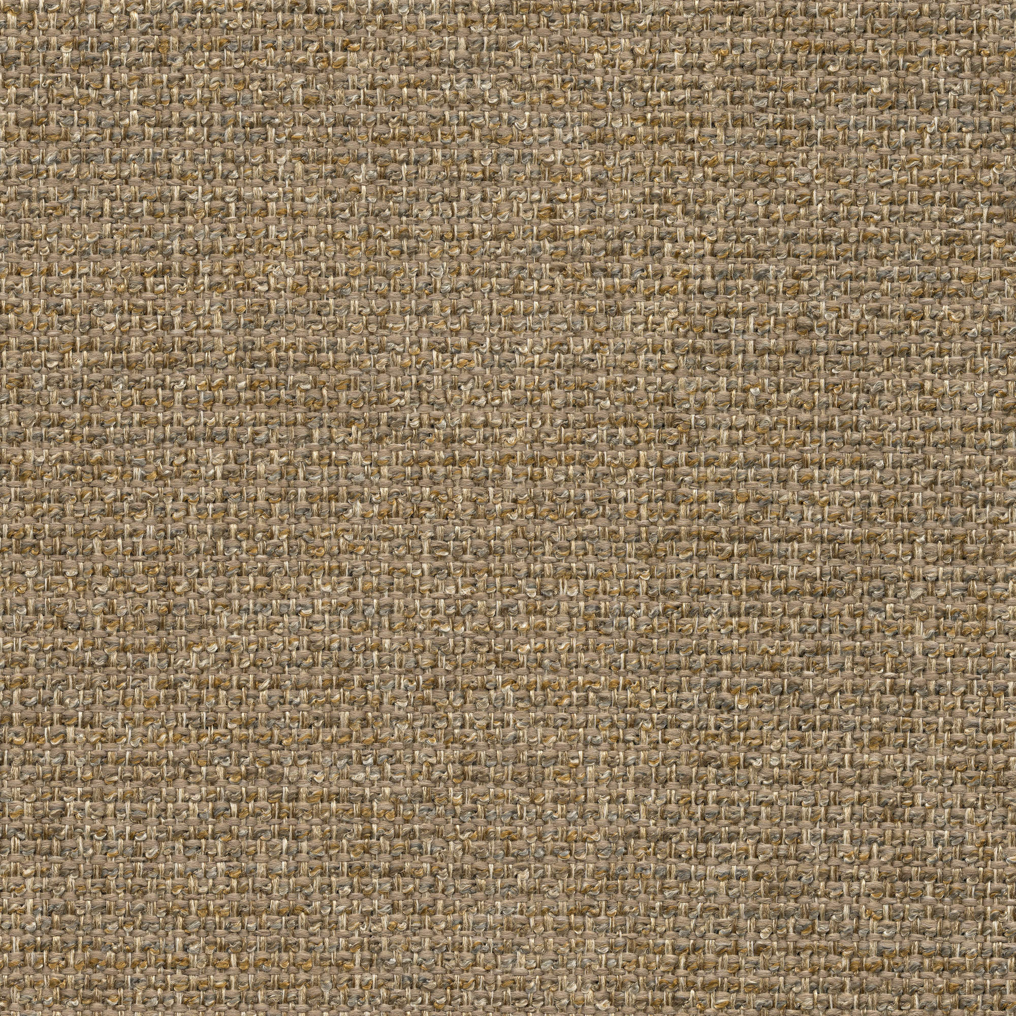 53322 JUTE (CHORUS)