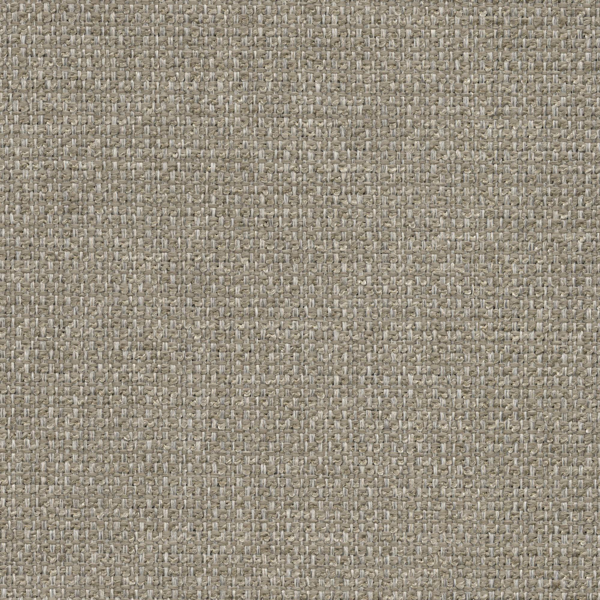 53323 ZIPPER (CHORUS)