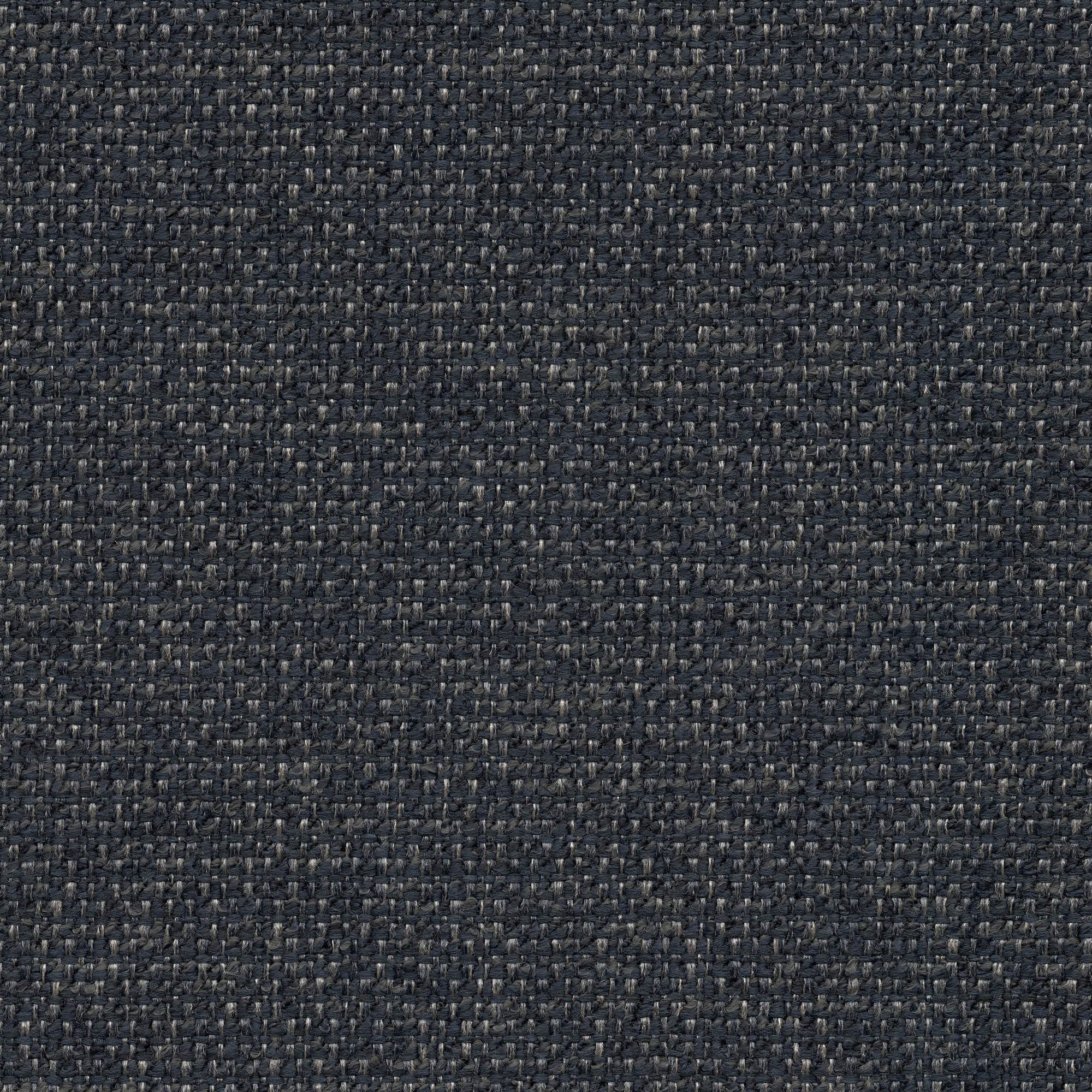 53334 INDIGO (CHORUS)
