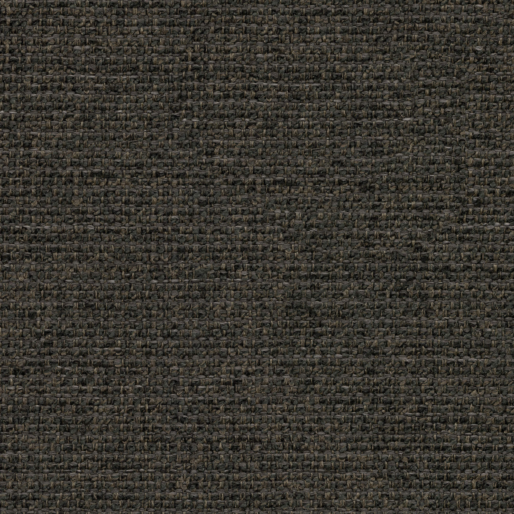 53337 CARBON (CHORUS)