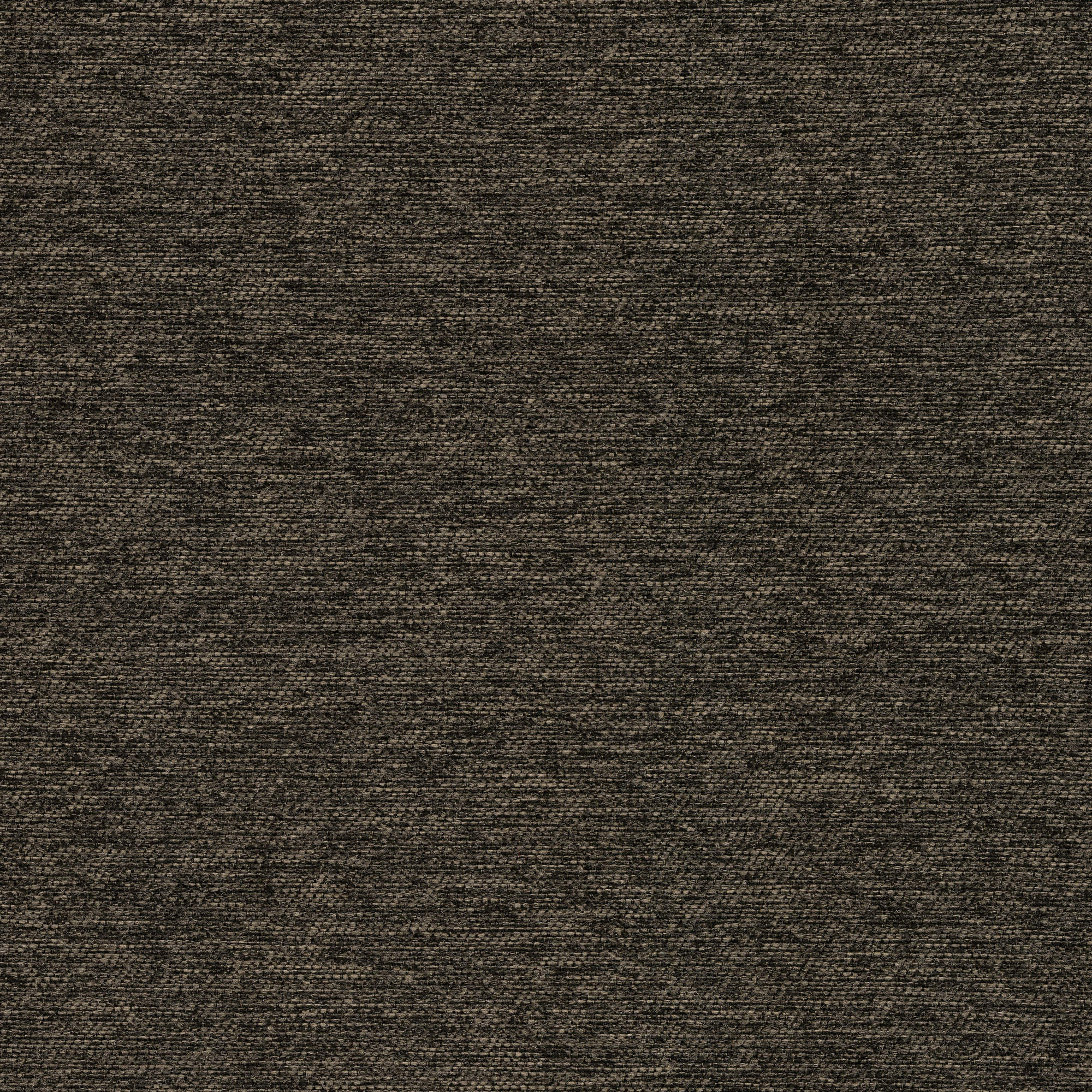 53417 GRAPHITE (WALTZ)