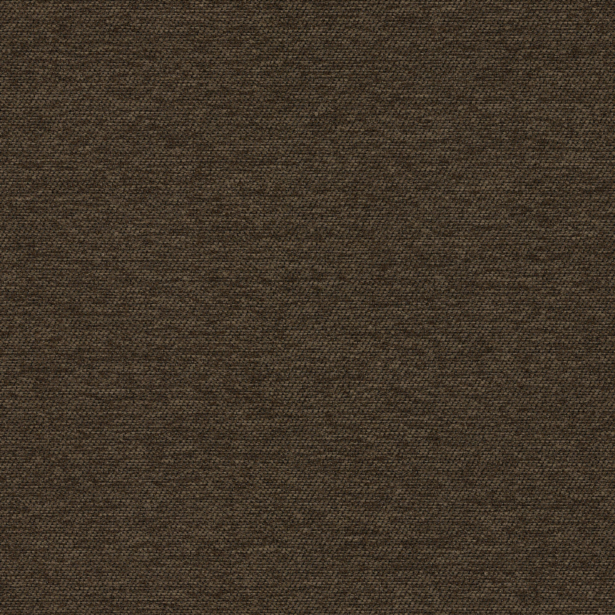 53429 ESPRESSO (WALTZ)