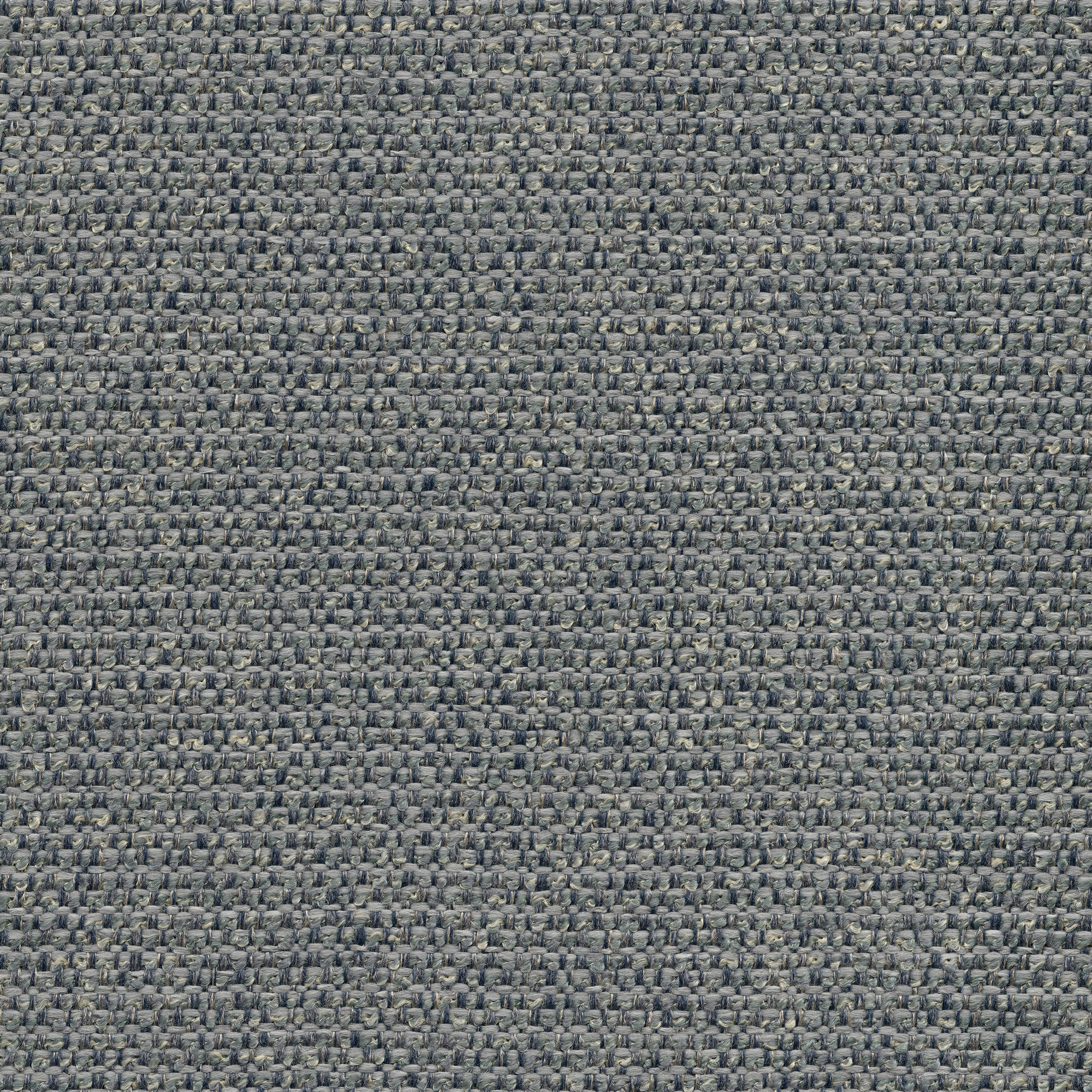 53431 CHAMBRAY (CHORUS)