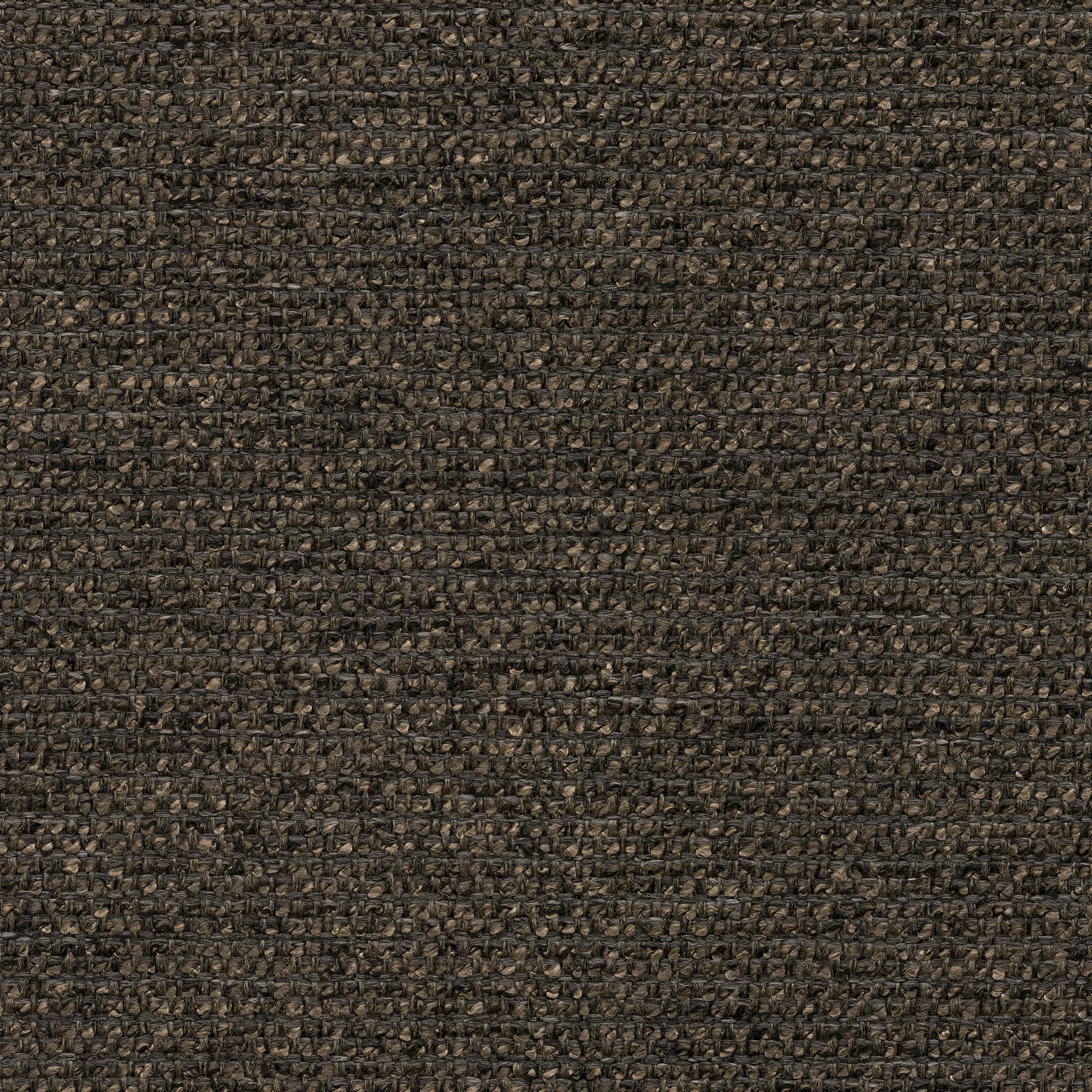 53434 GRAPHITE (CHORUS)