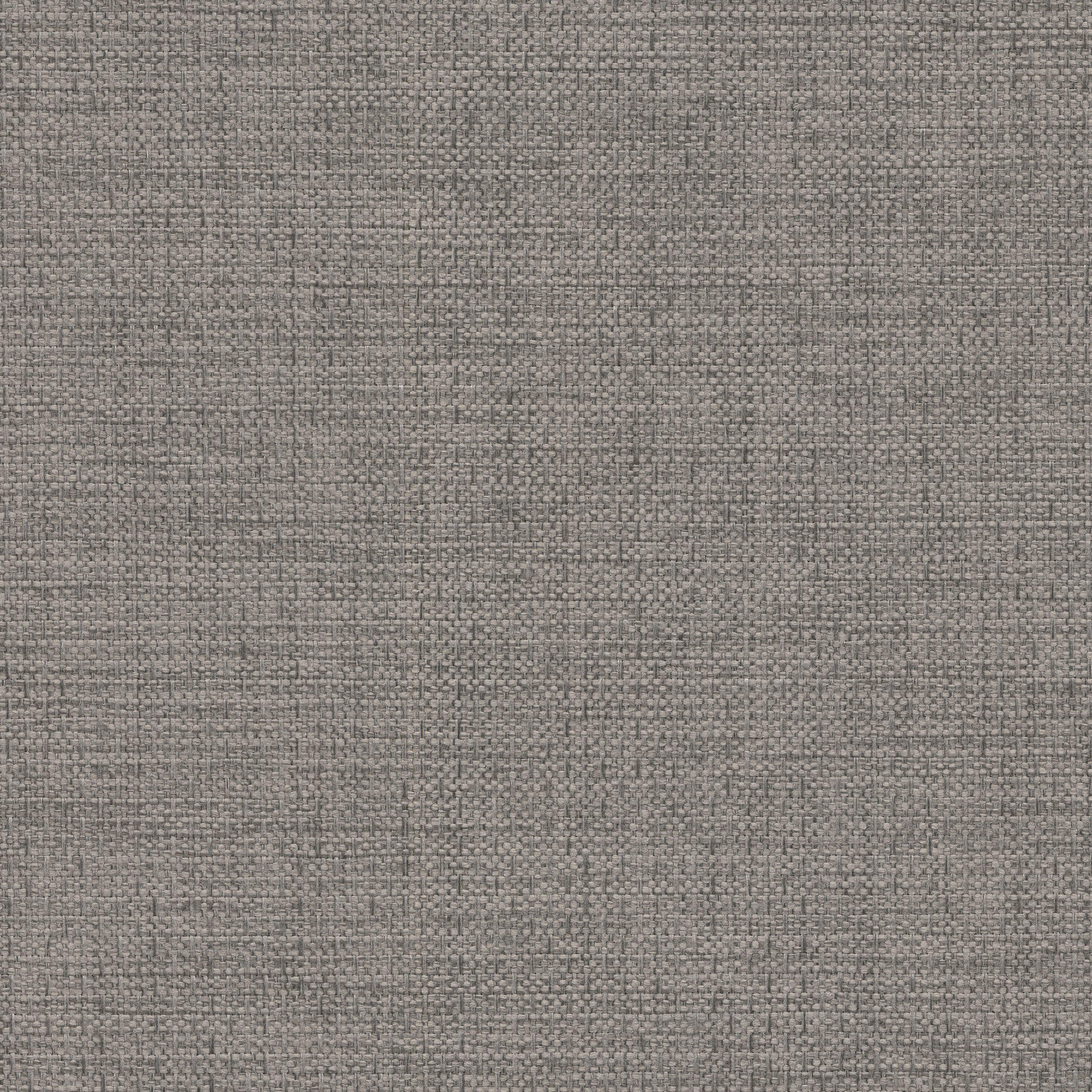 53501 ELEPHANT (ALLURE)