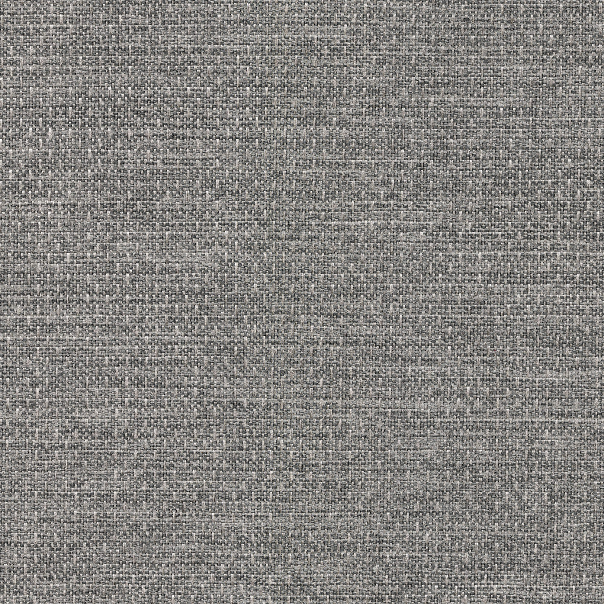 53503 FOSSIL (ALLURE)