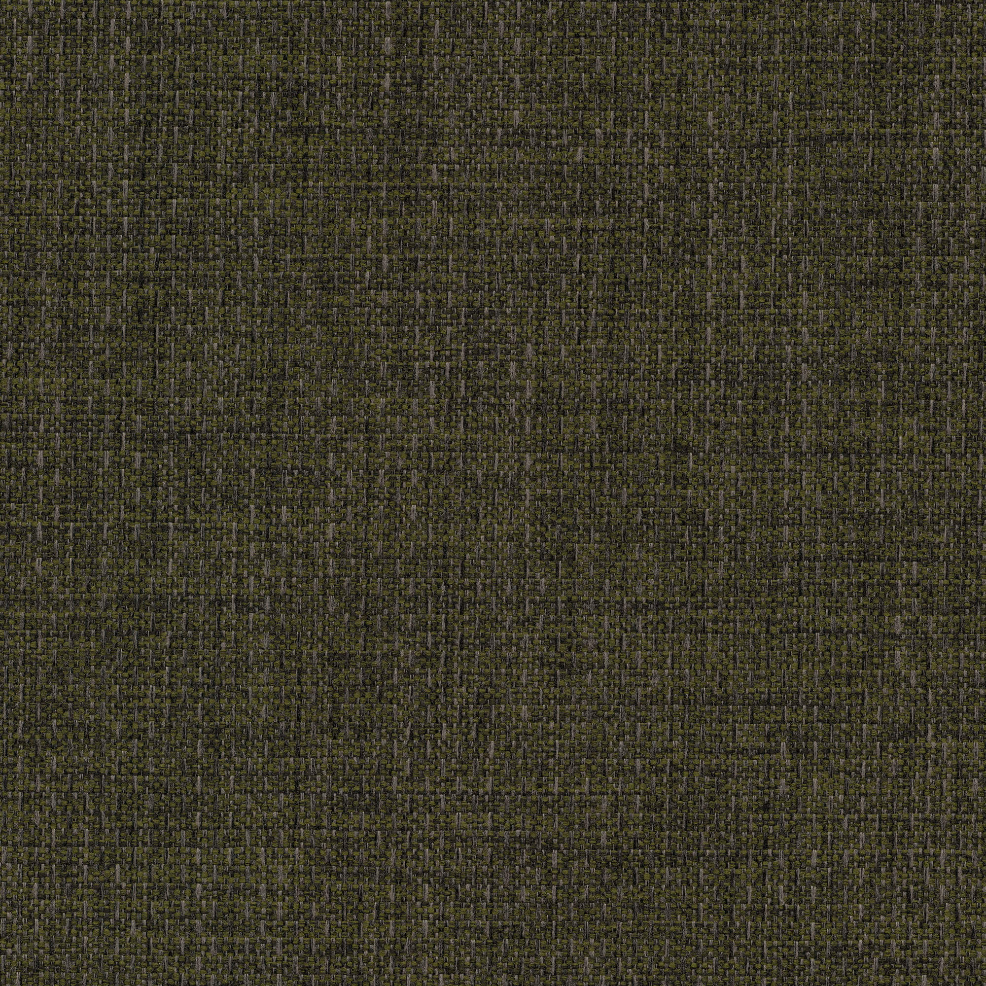 53507 SPINACH (ALLURE)