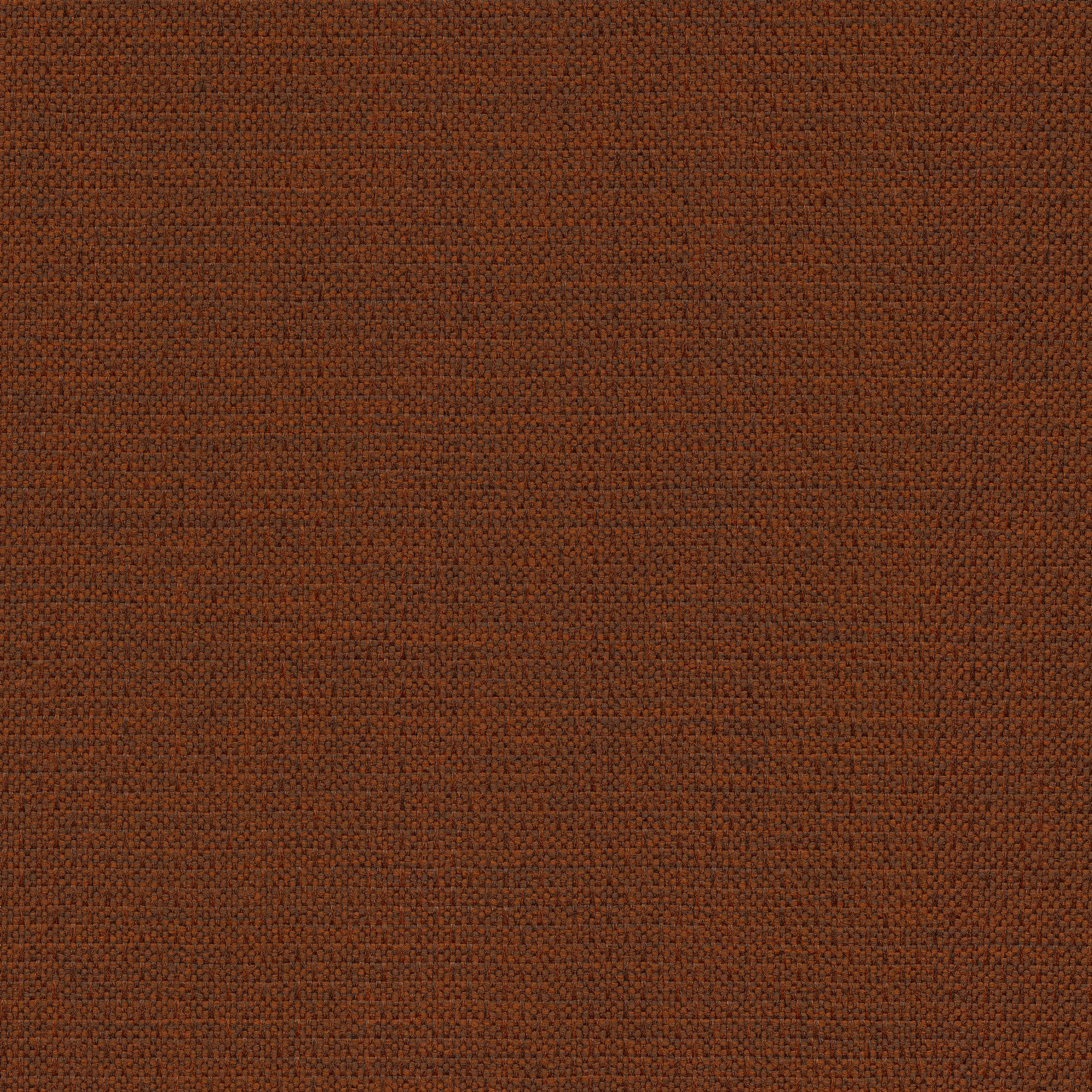 53509 CAYENNE (ALLURE)