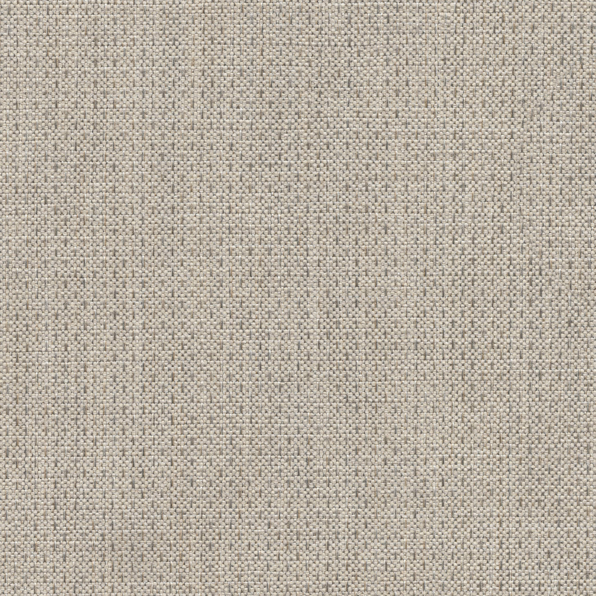 53522 MAGNET (ALLURE)