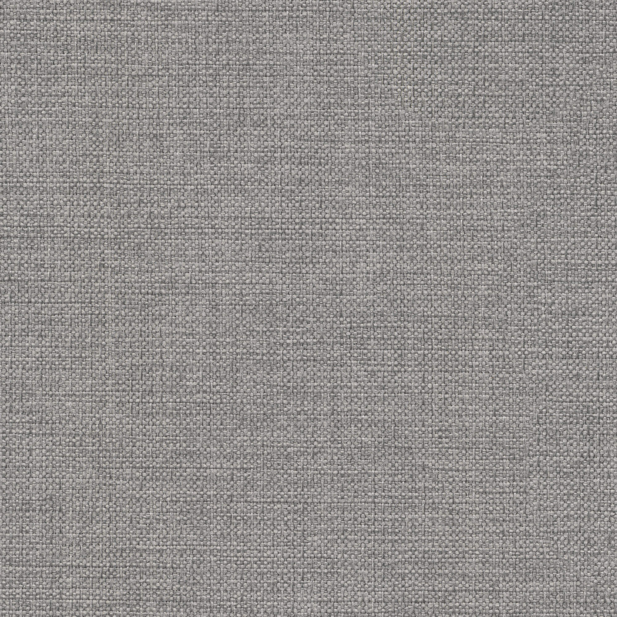 53525 PIGEON (ALLURE)