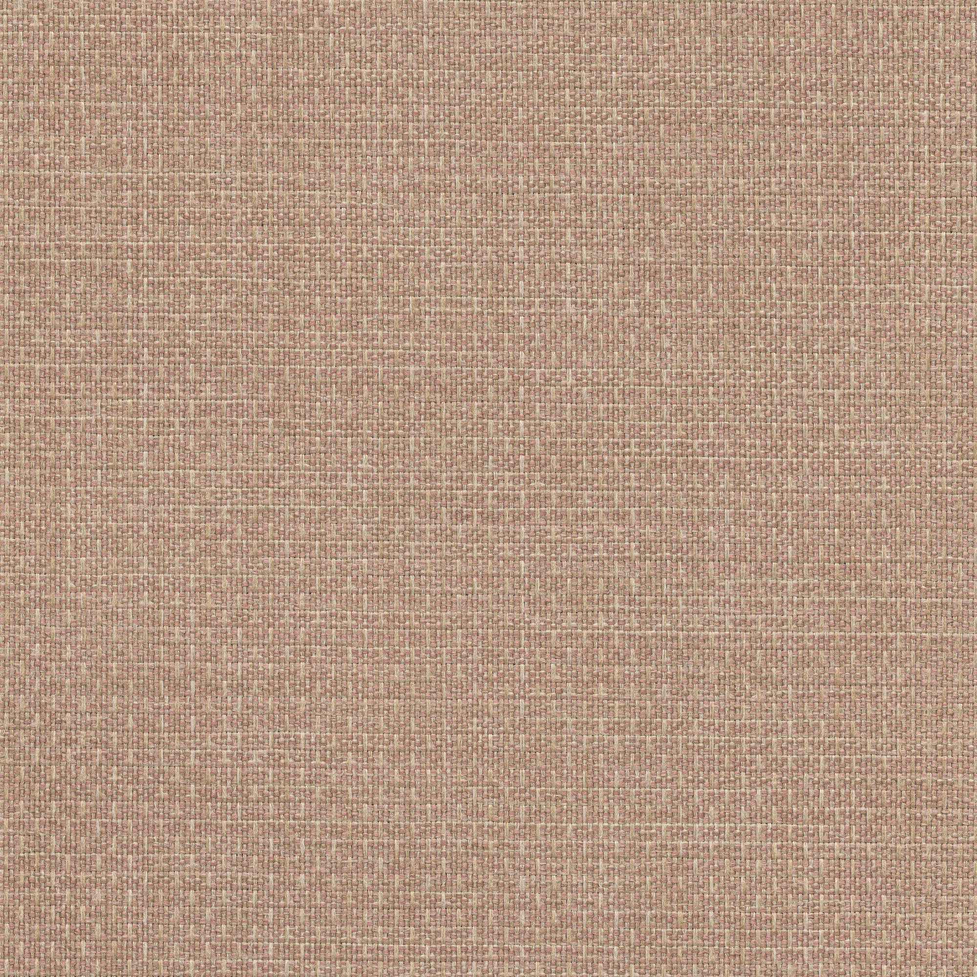 53526 BALLET PINK (ALLURE)