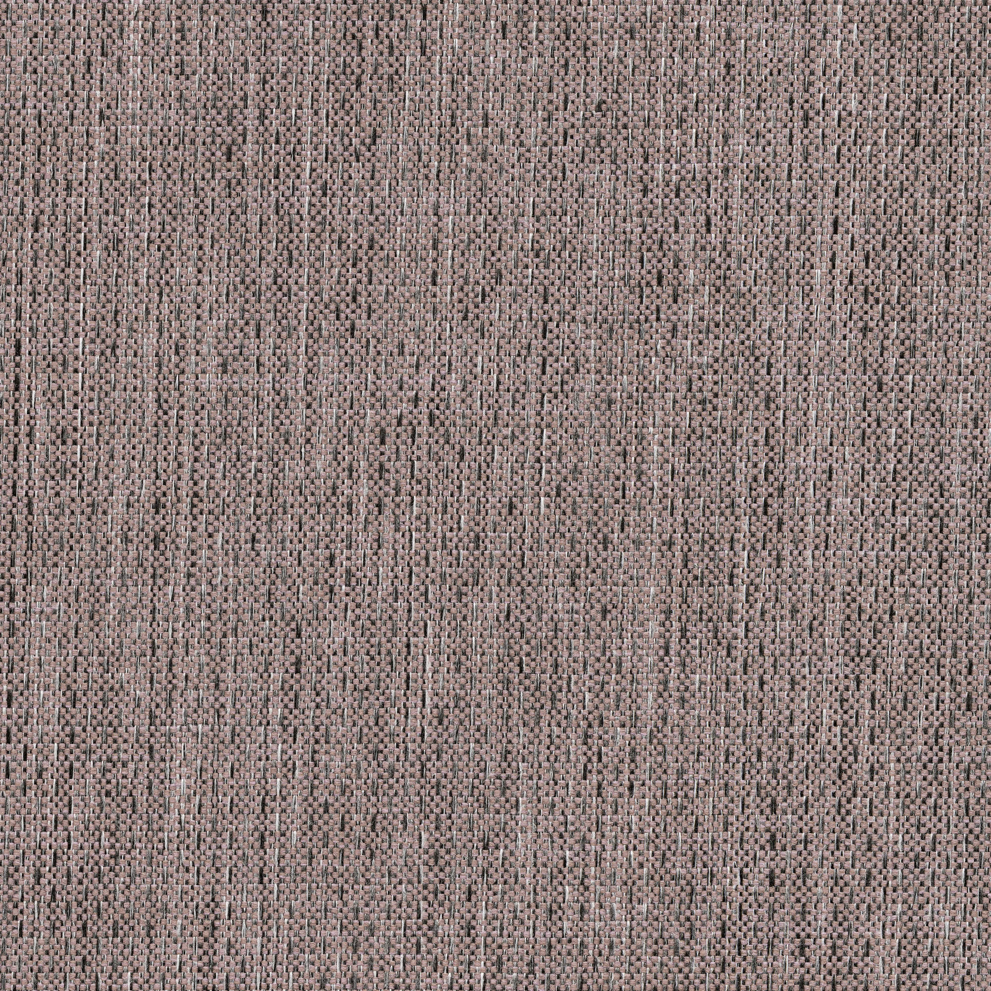 53530 GRAPE (ALLURE)