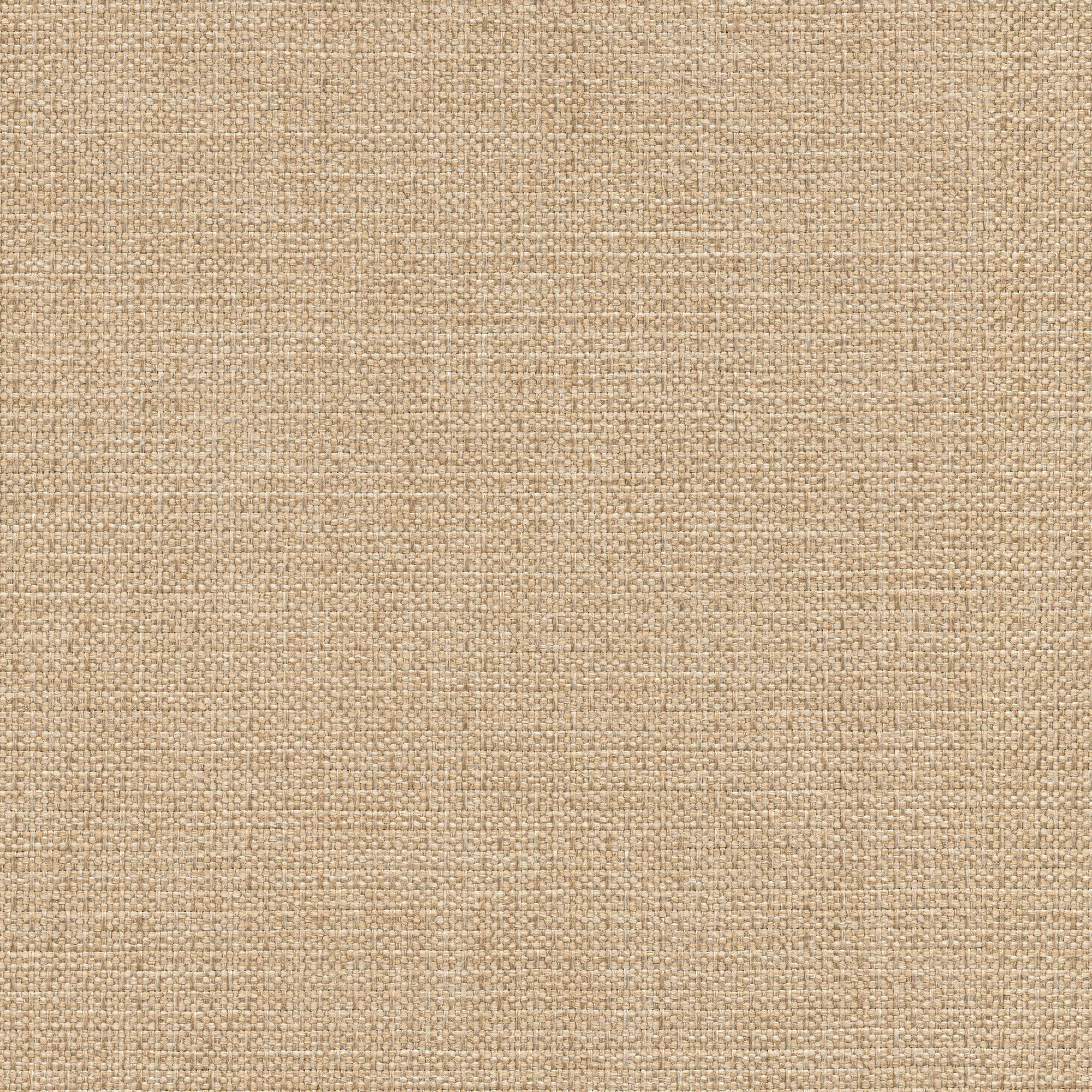 53531 VANILLA (ALLURE)