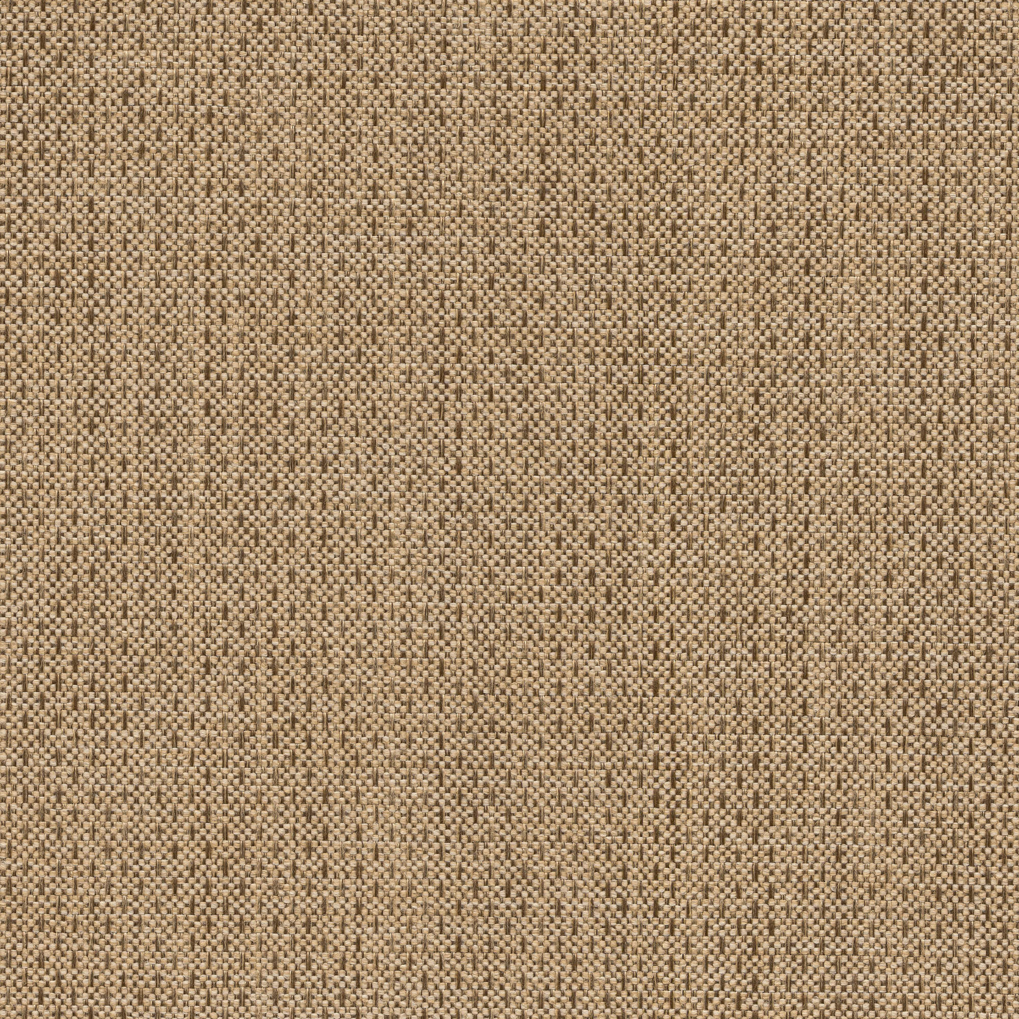 53532 LINEN (ALLURE)