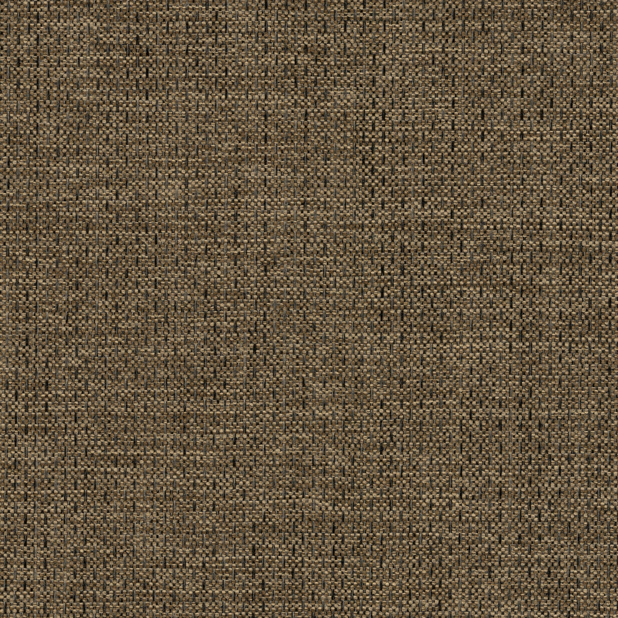 53535 HAZELNUT (ALLURE)