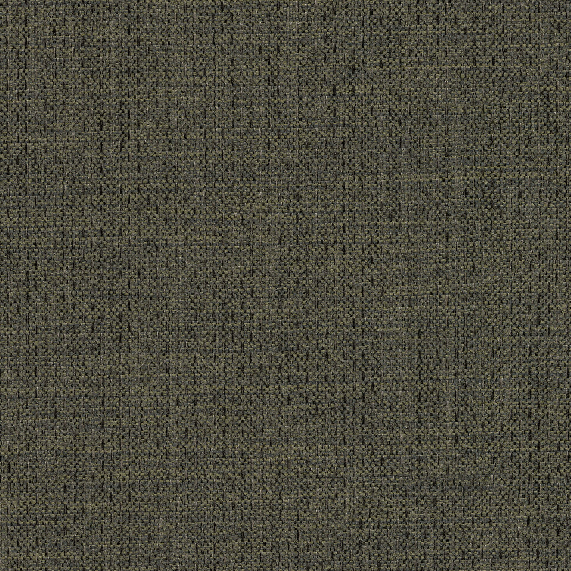 53542 CAPER (ALLURE)