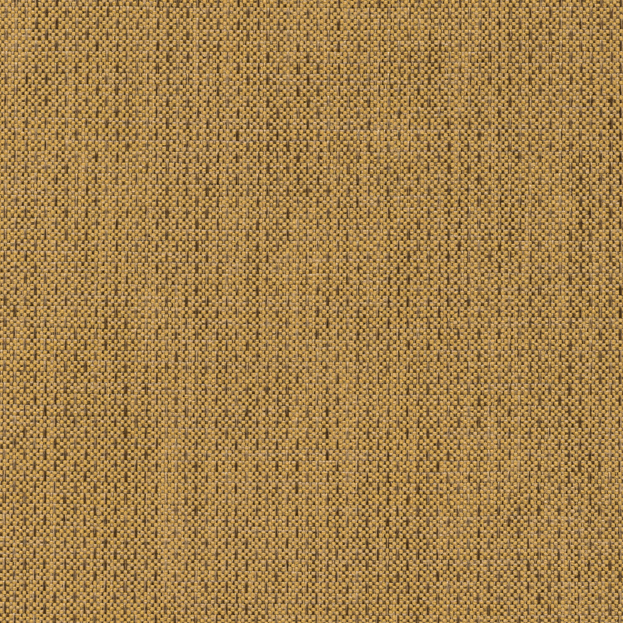 53544 BAMBOO (ALLURE)