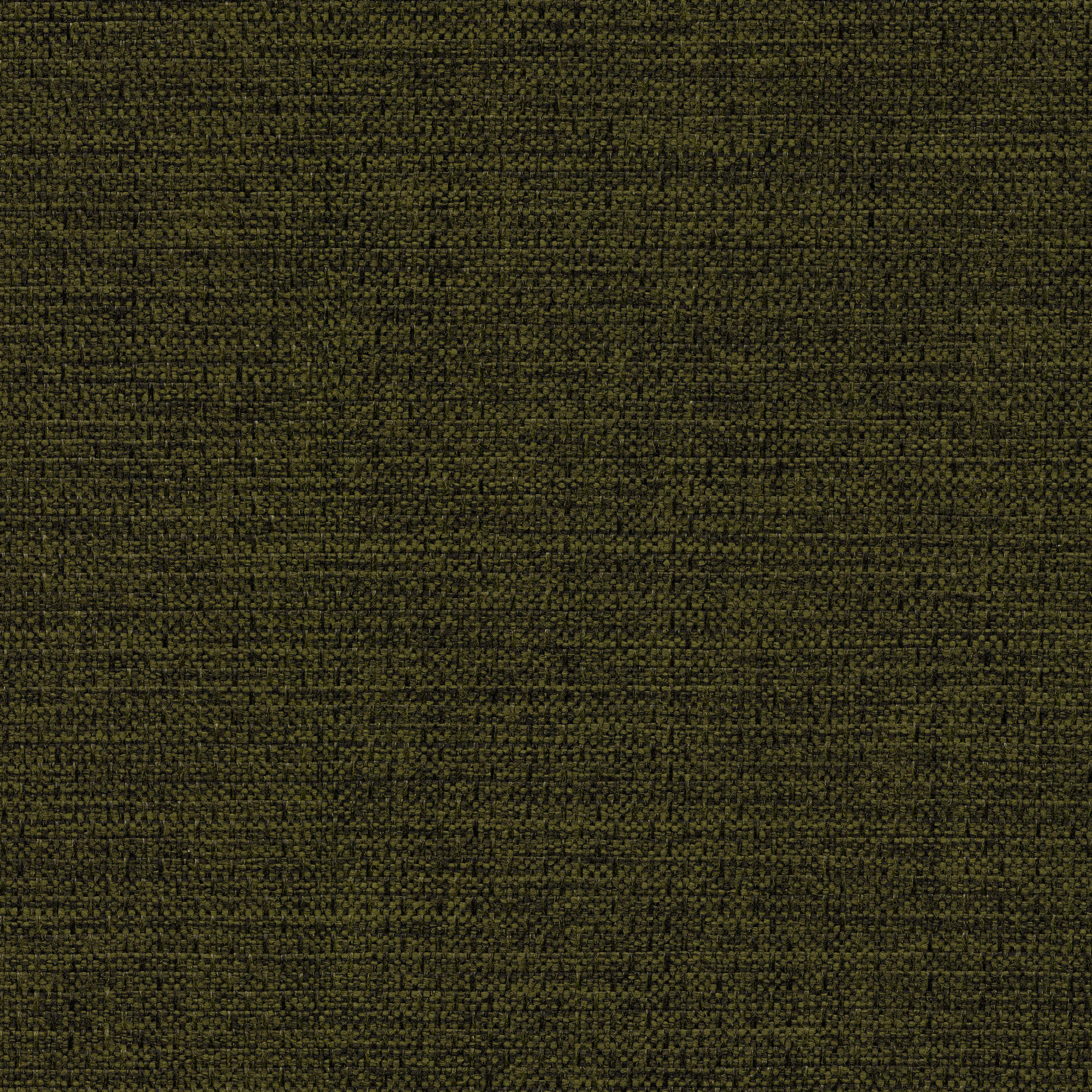 53545 EMERALD (ALLURE)