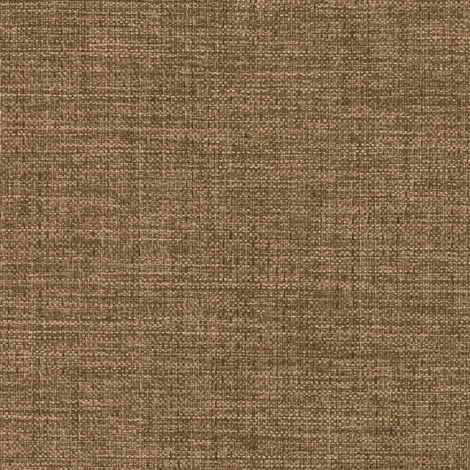 53546 FUDGE (ALLURE)