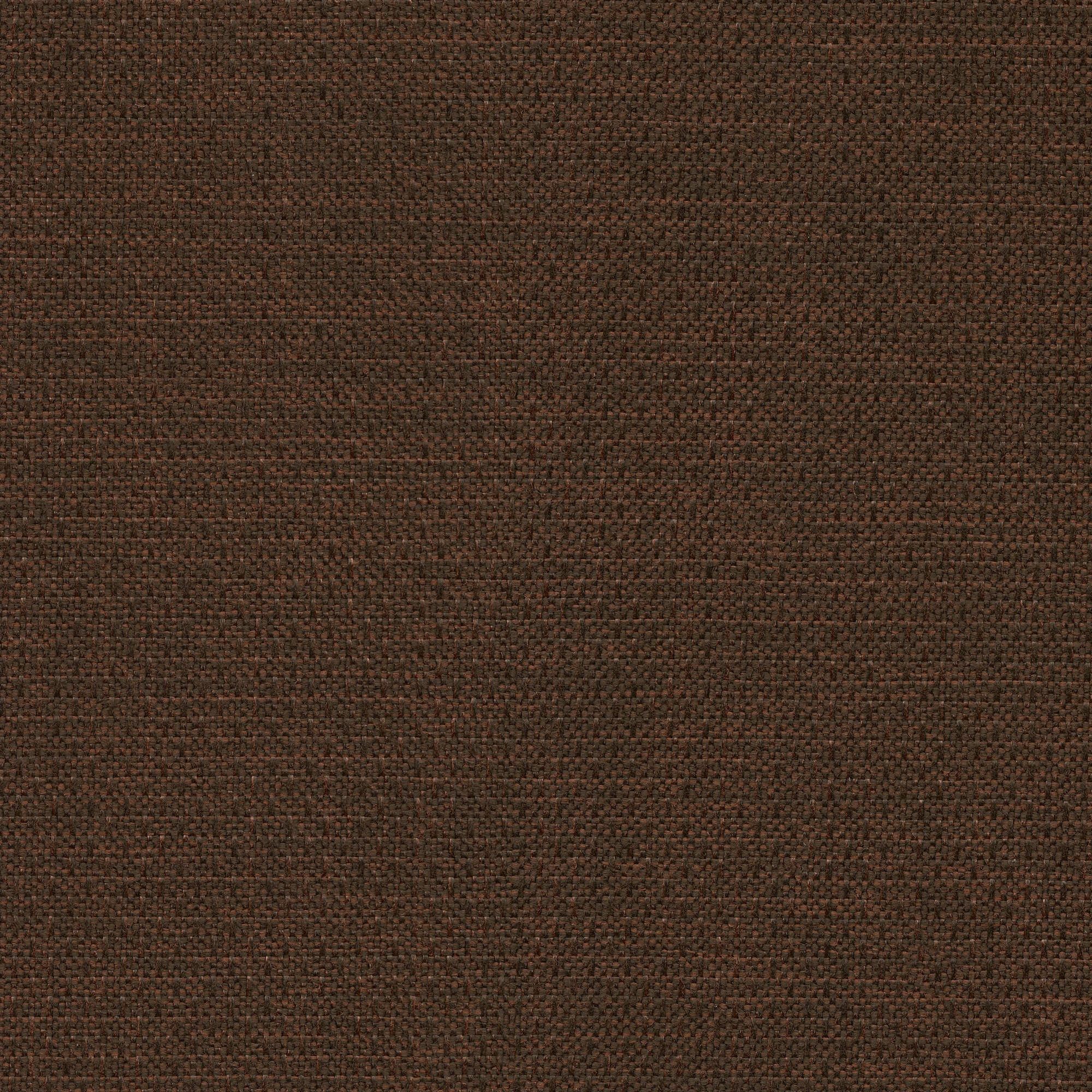 53547 COCOA (ALLURE)