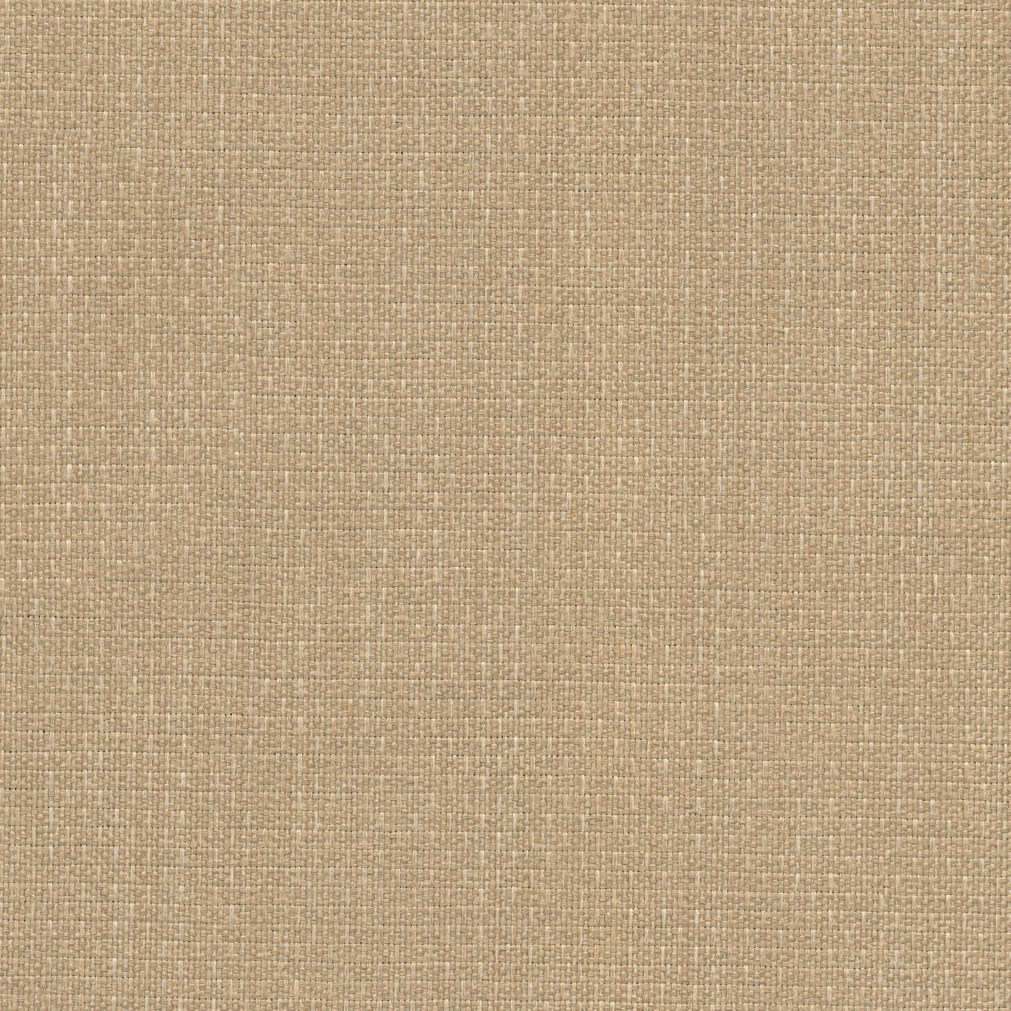 53548 BUFF (ALLURE)