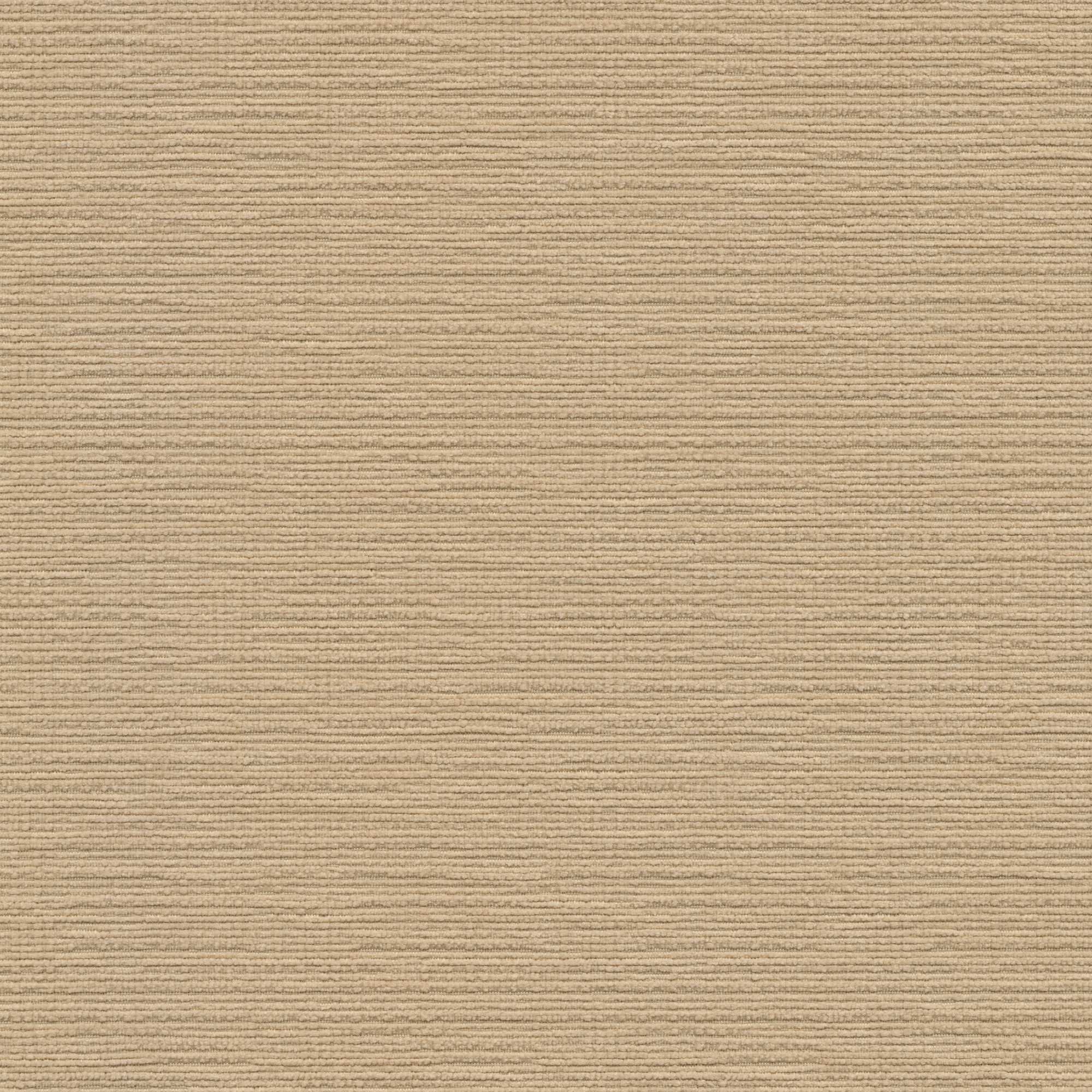 53804 CREAM (DUBLIN)