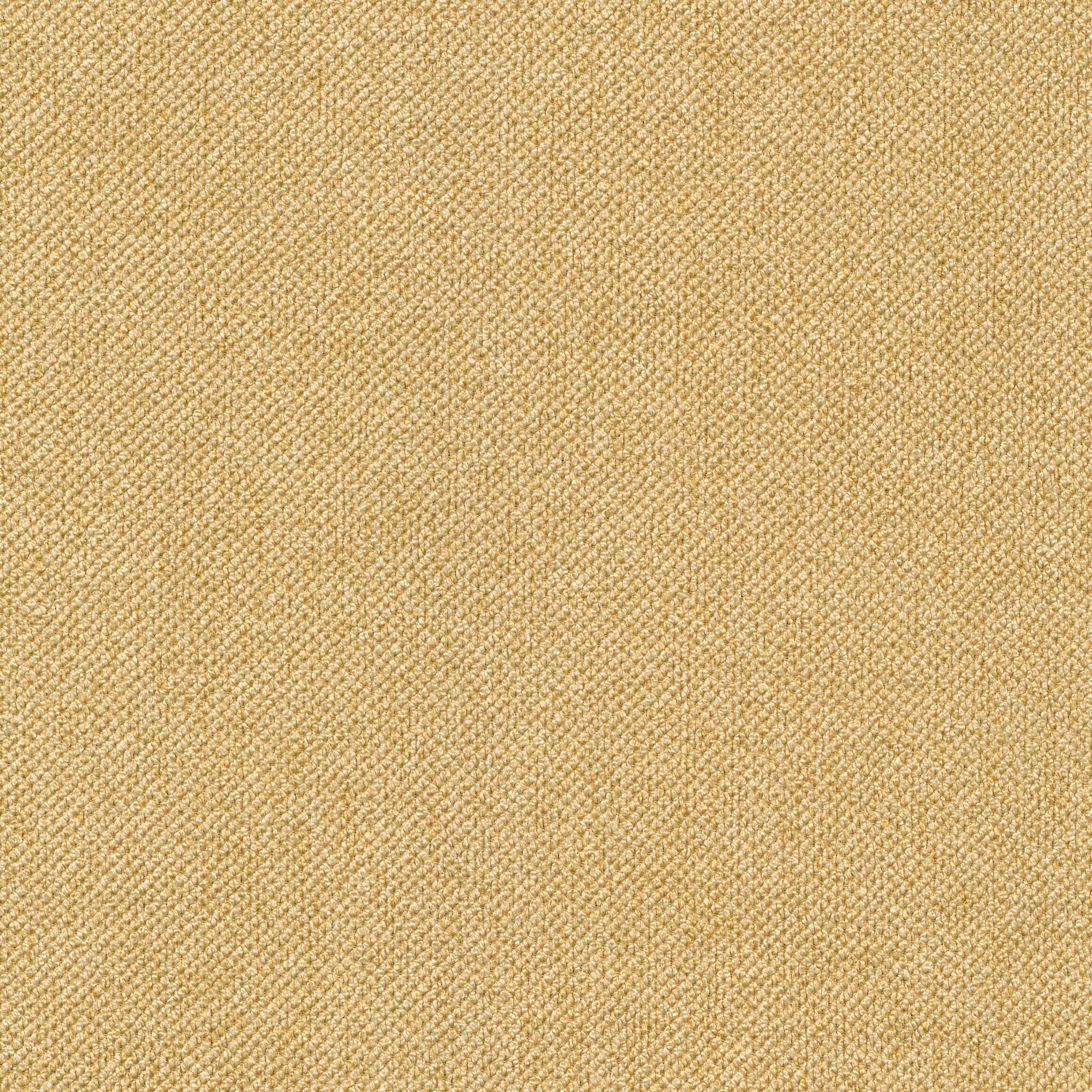 53807 STRAW (TEMPO)