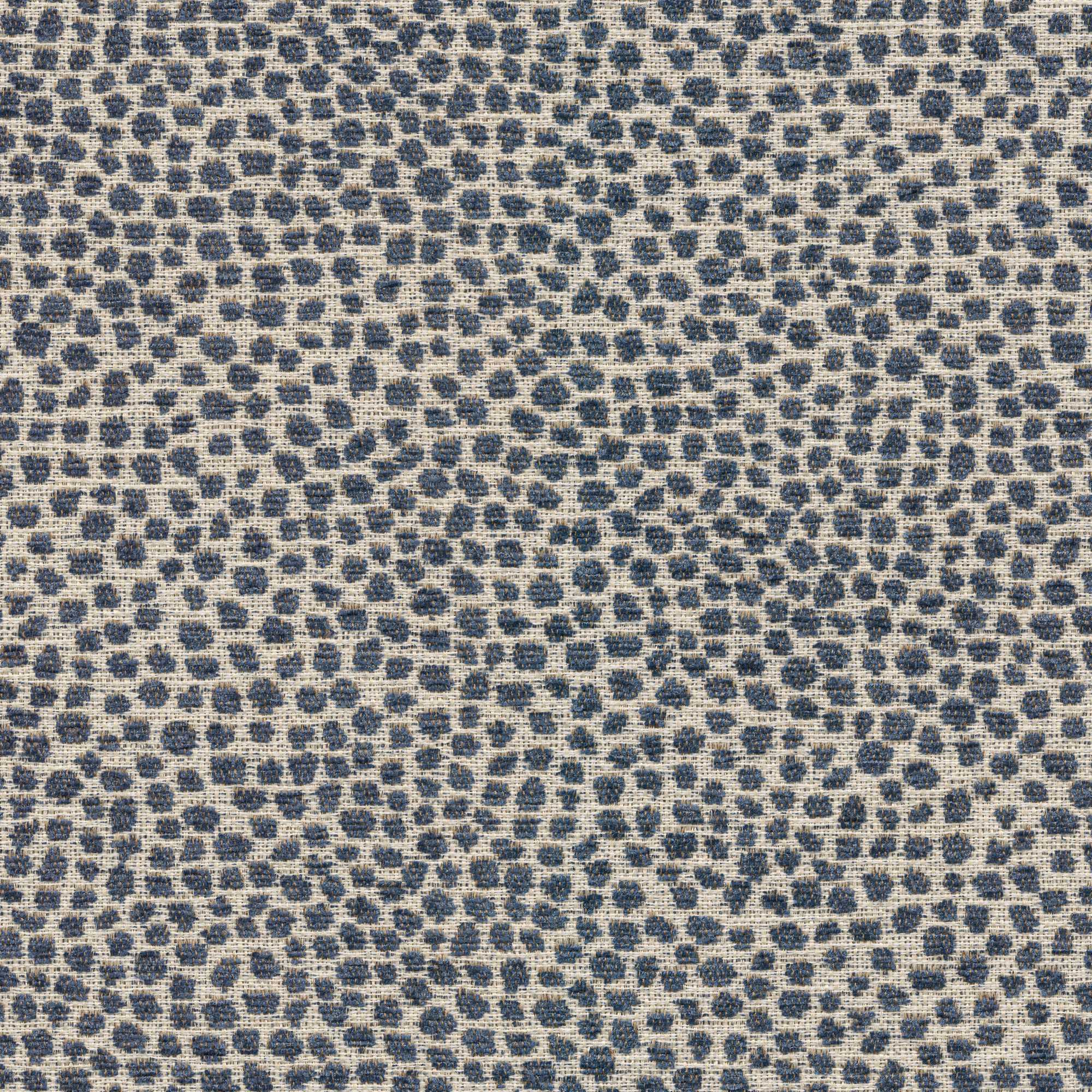 53833 DEEP SEA (DOTTY)