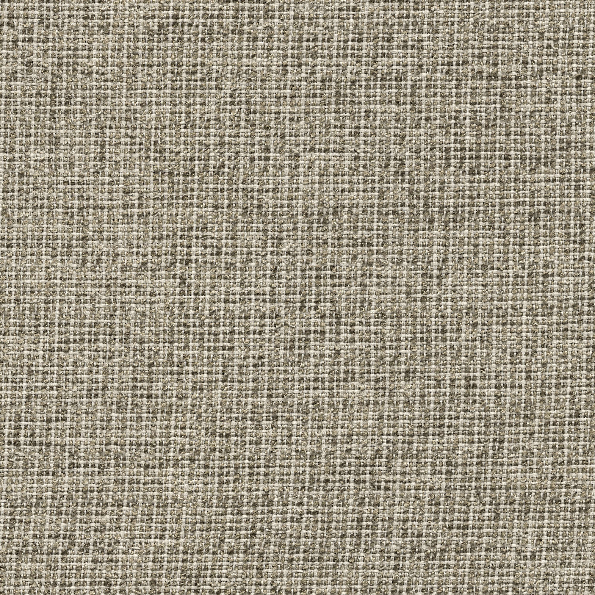 53909 FOG (ZEST)