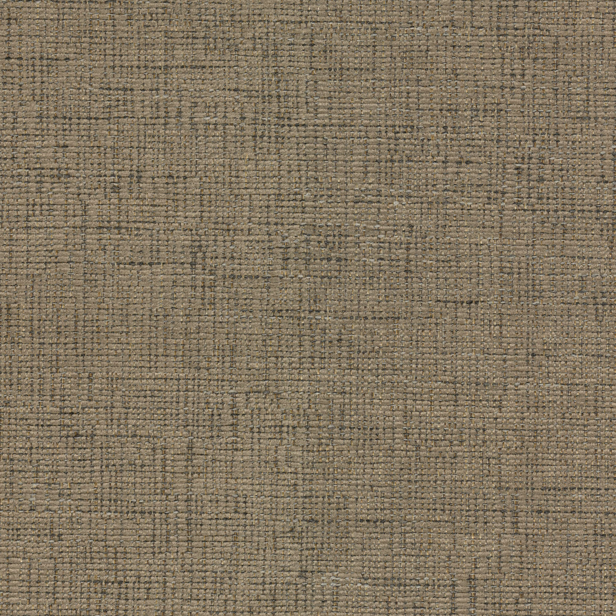 53914 PEBBLE (WHISTLER)