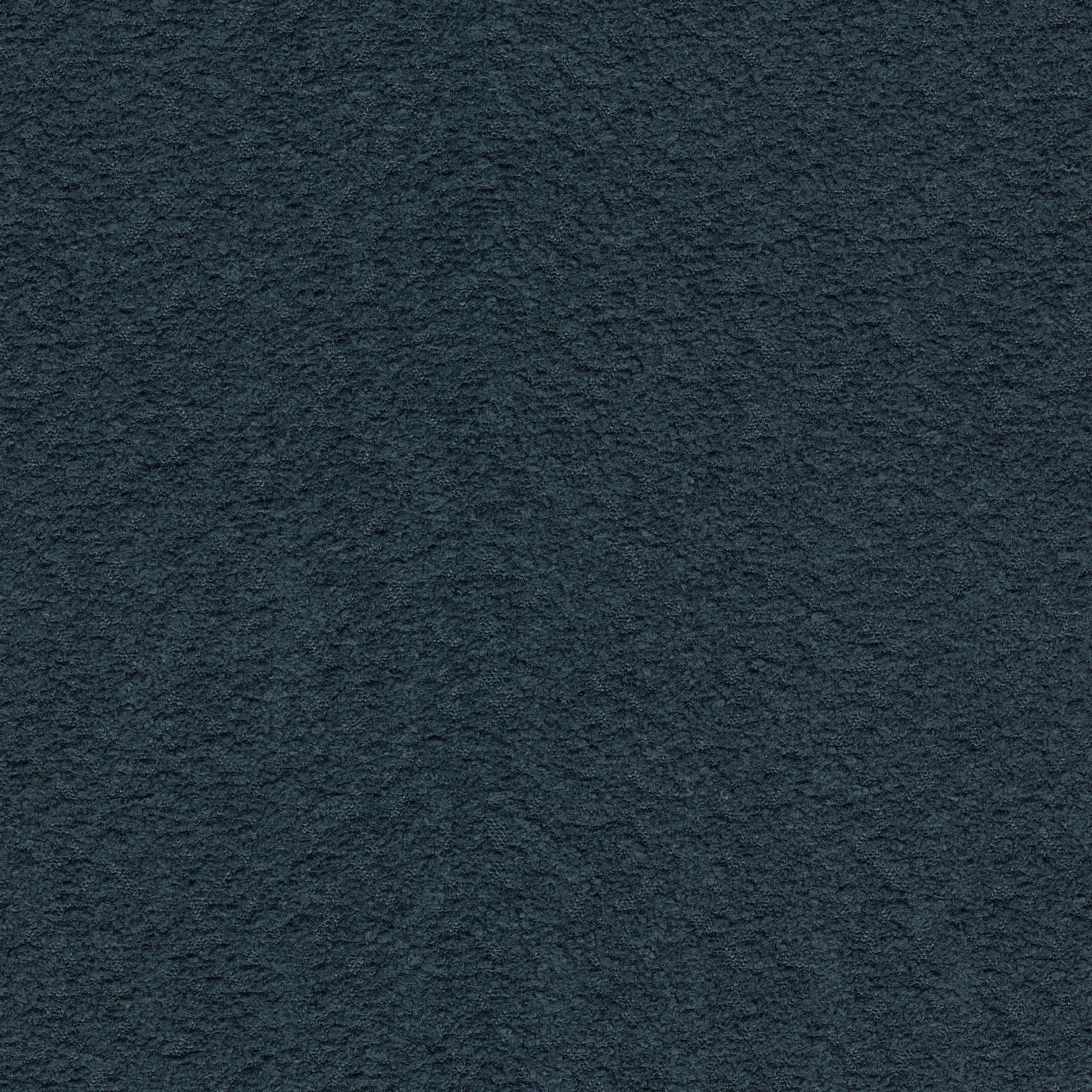 53922 BLUEBERRY (FRISKY)
