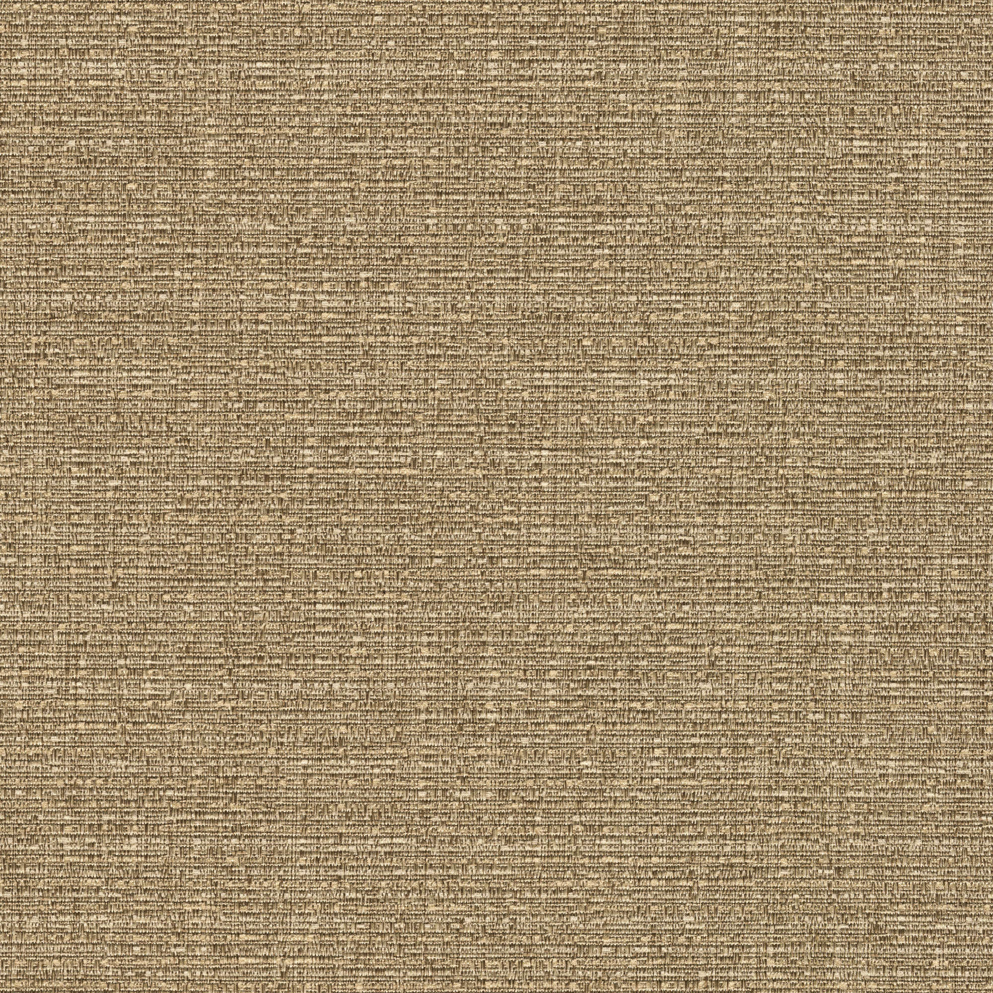 53924 PEBBLE (AMELIA)