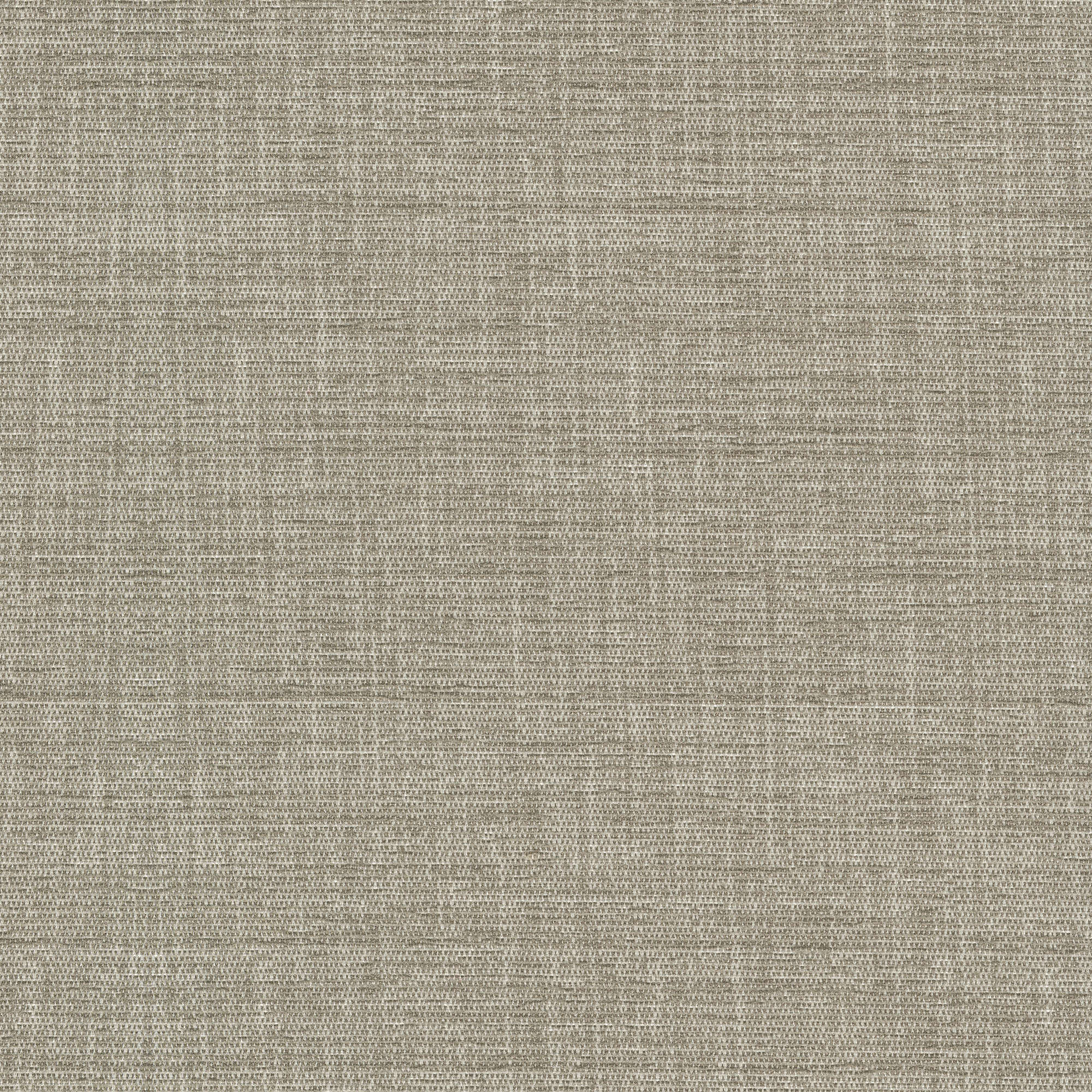53928 CHALK (ELOISE)