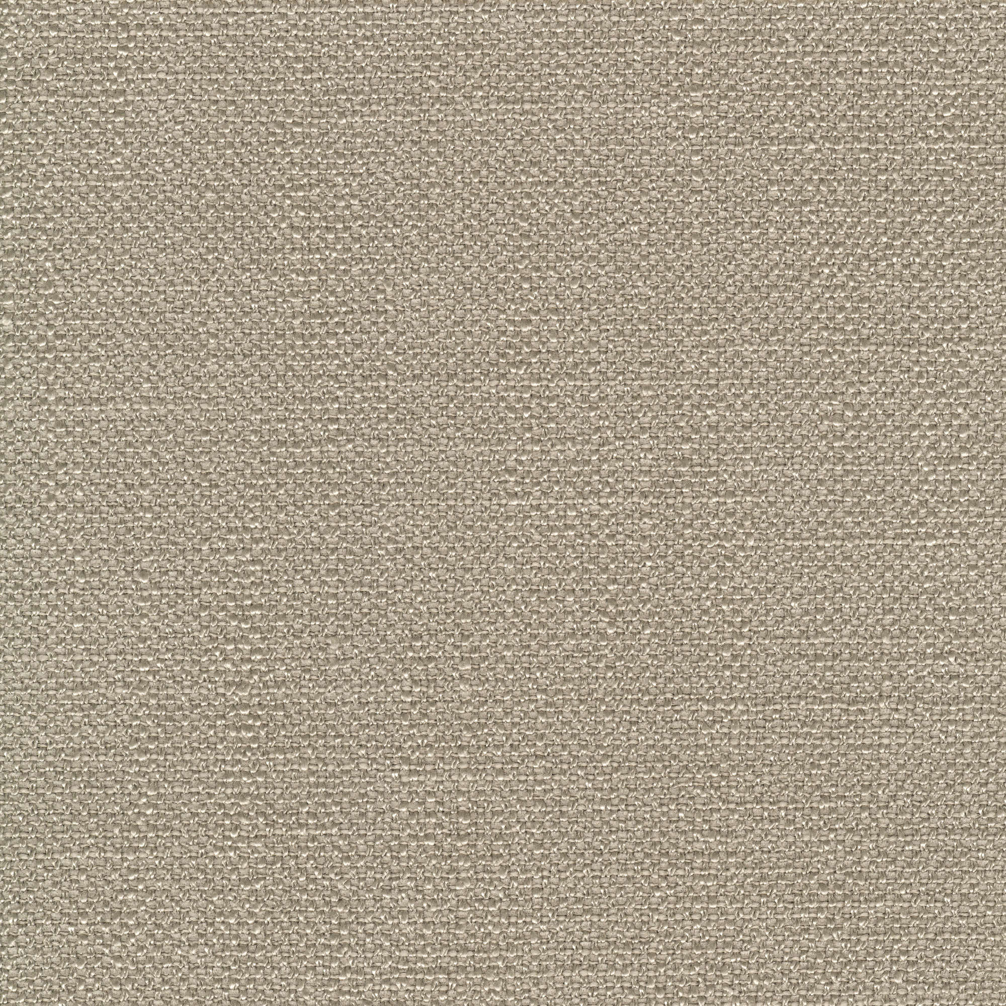 53929 DOVE (DELIGHT)