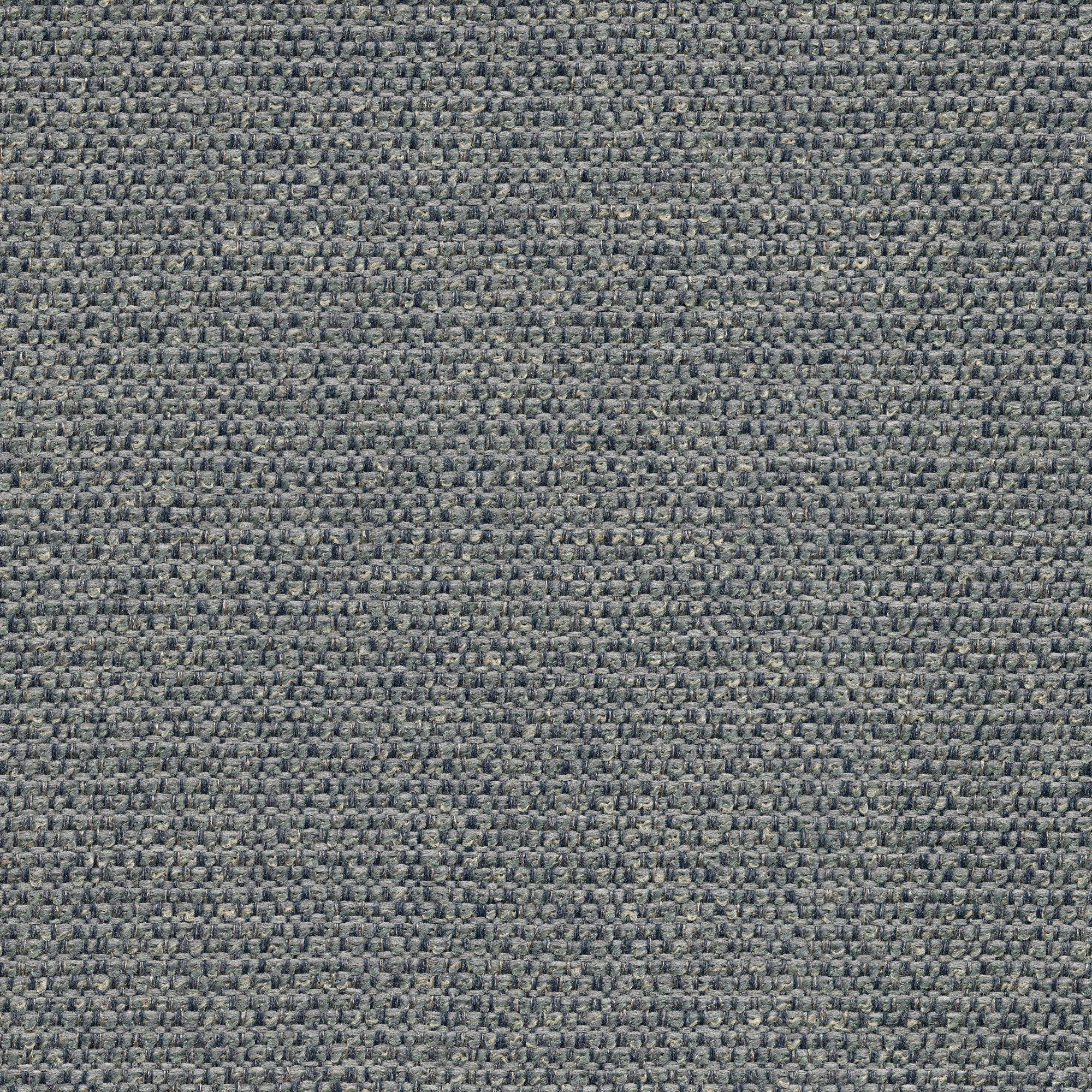 53934 CHAMBRAY (CHORUS)