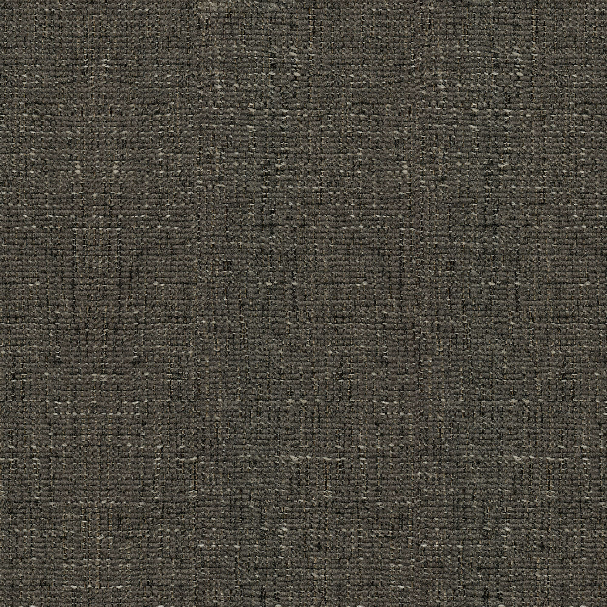 53936 CHARCOAL (WHISTLER)