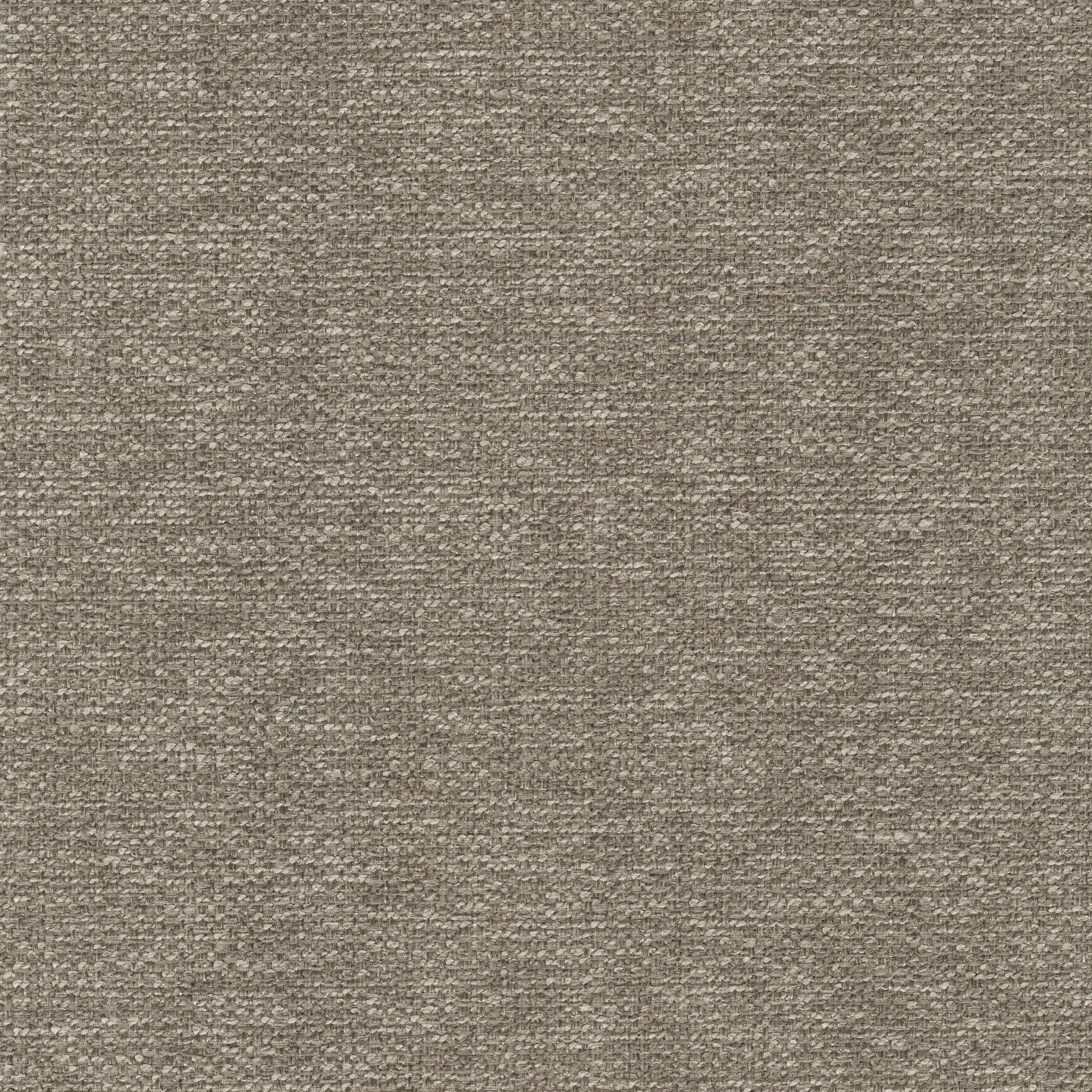 53946 DOVE (STELLAR)
