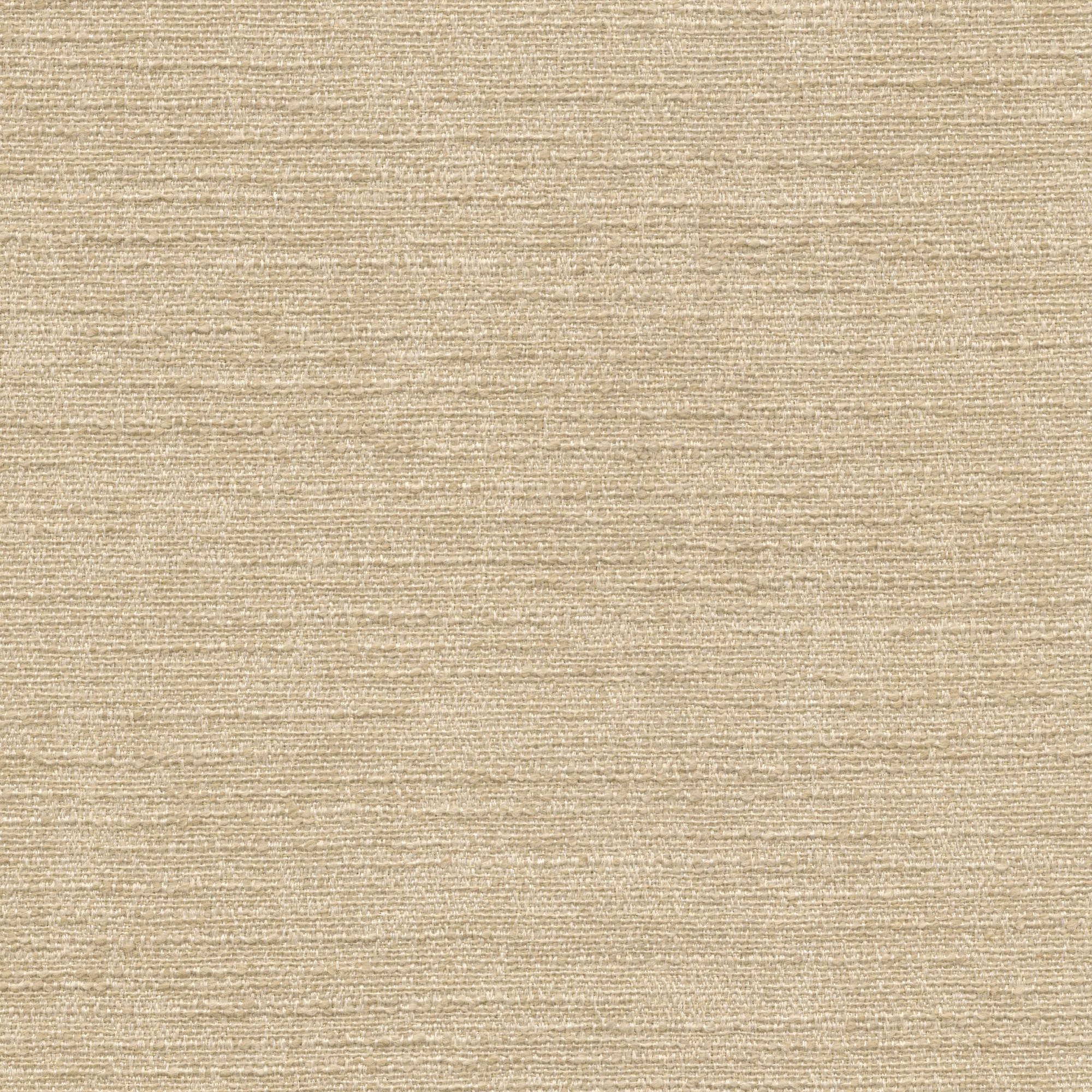 54002 CANVAS (MASCOT)