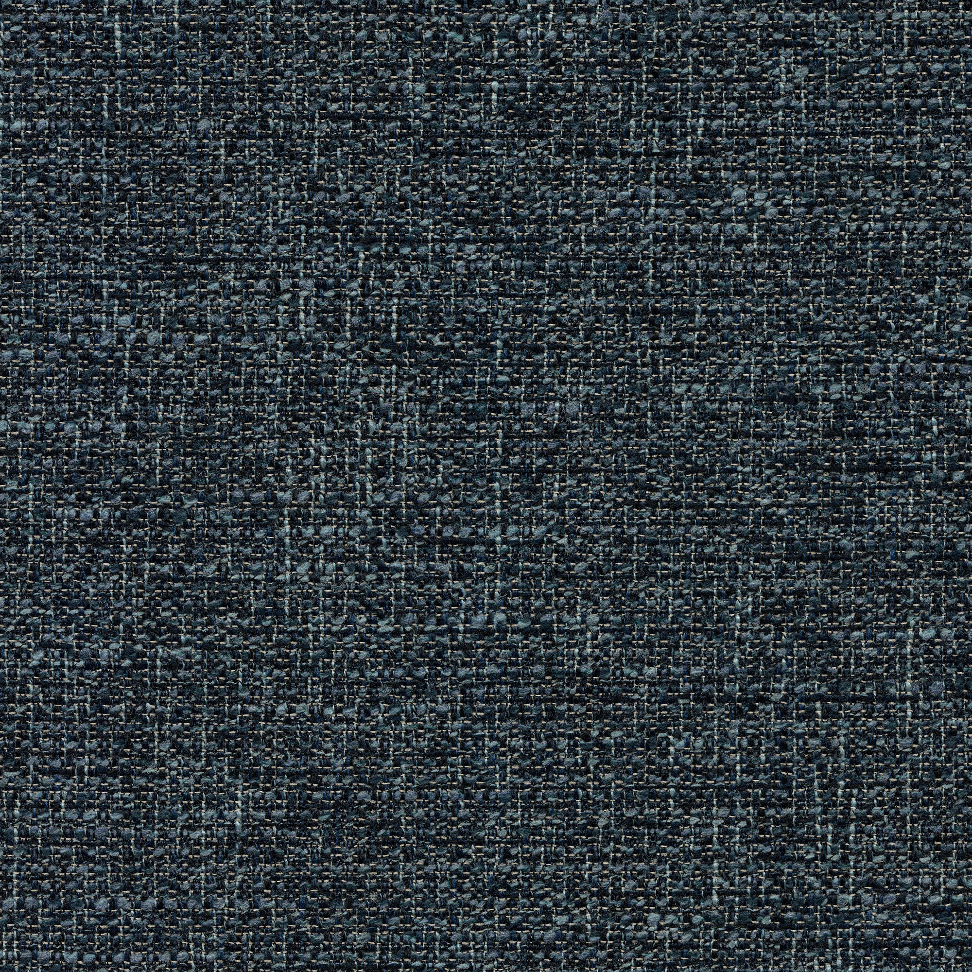 54003 TRUE BLUE (SCOUT)