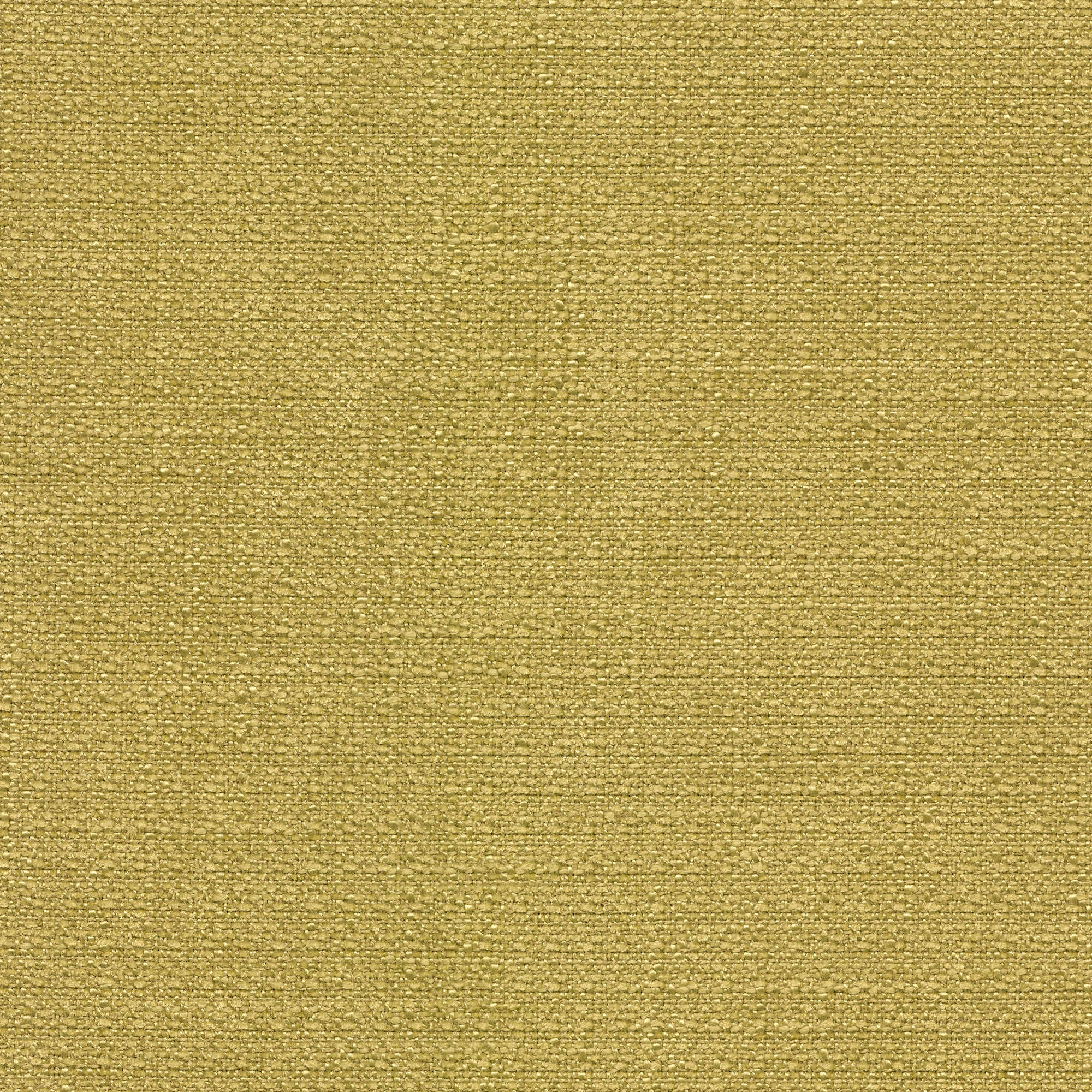 54004 PEAR (DERBY)