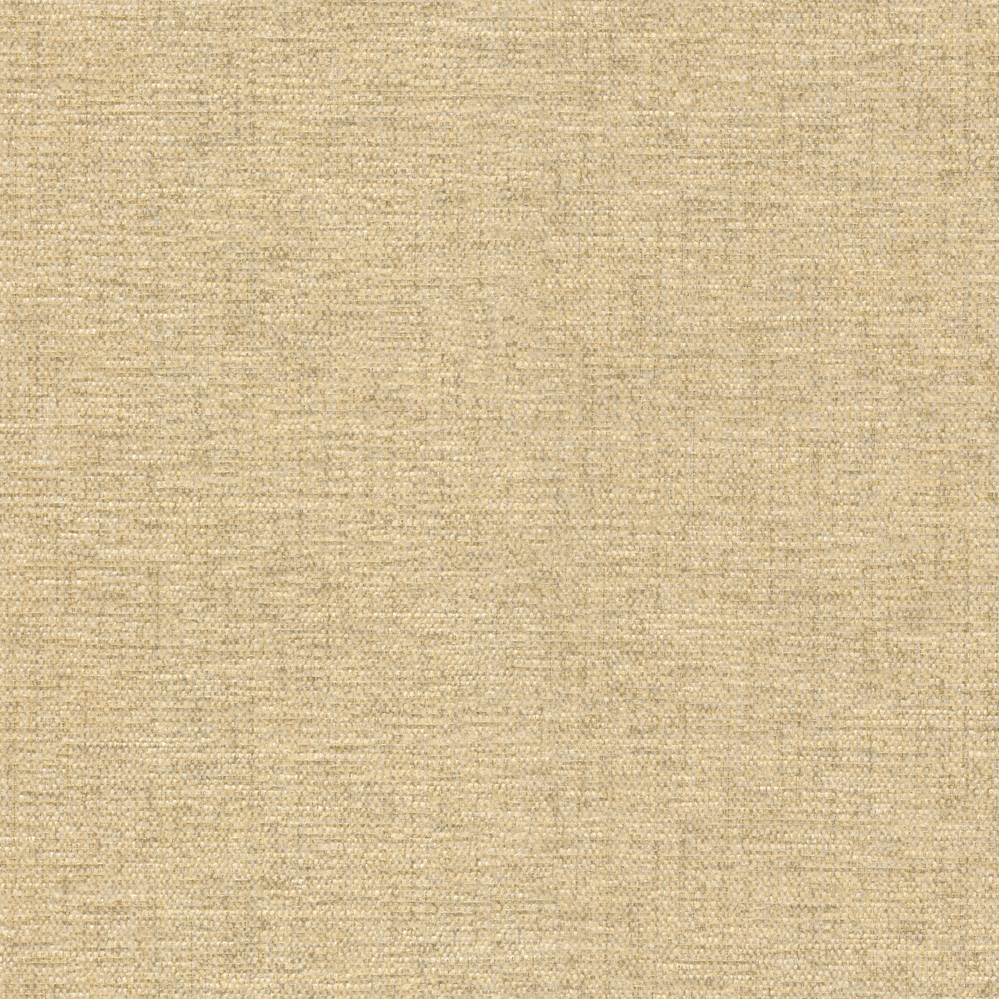 54007 CANVAS (ASTRO)