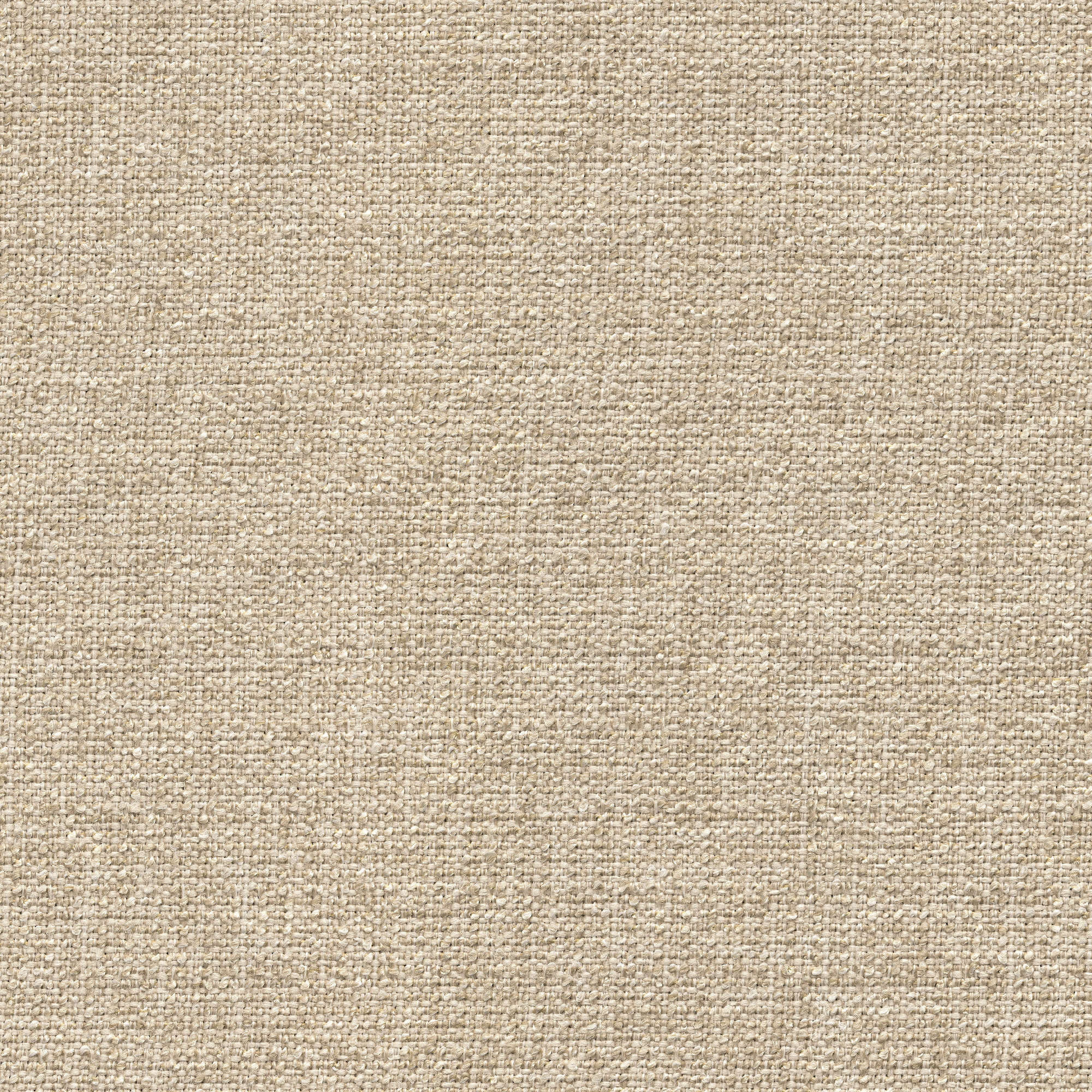 54008 SALT (ZEST)