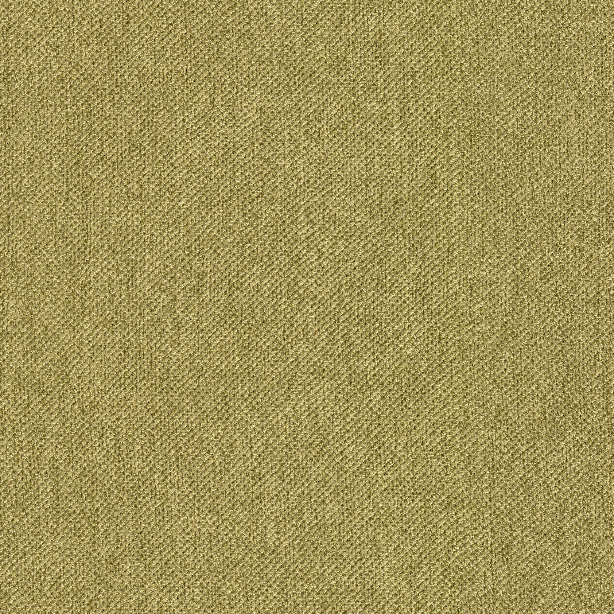 54012 FERN (TEMPO)